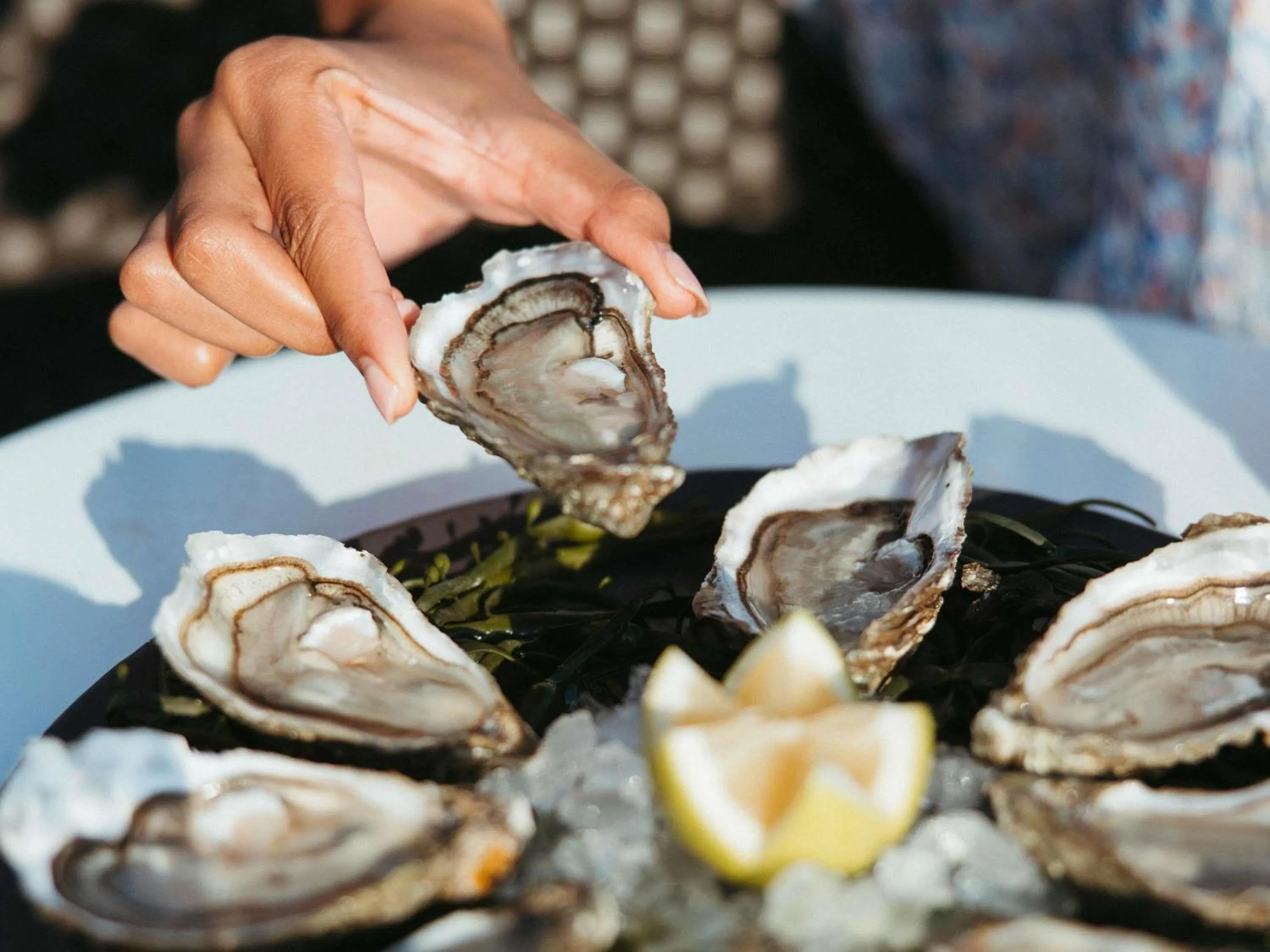 Lounge or bar in Sofitel Quiberon Thalassa sea & spa