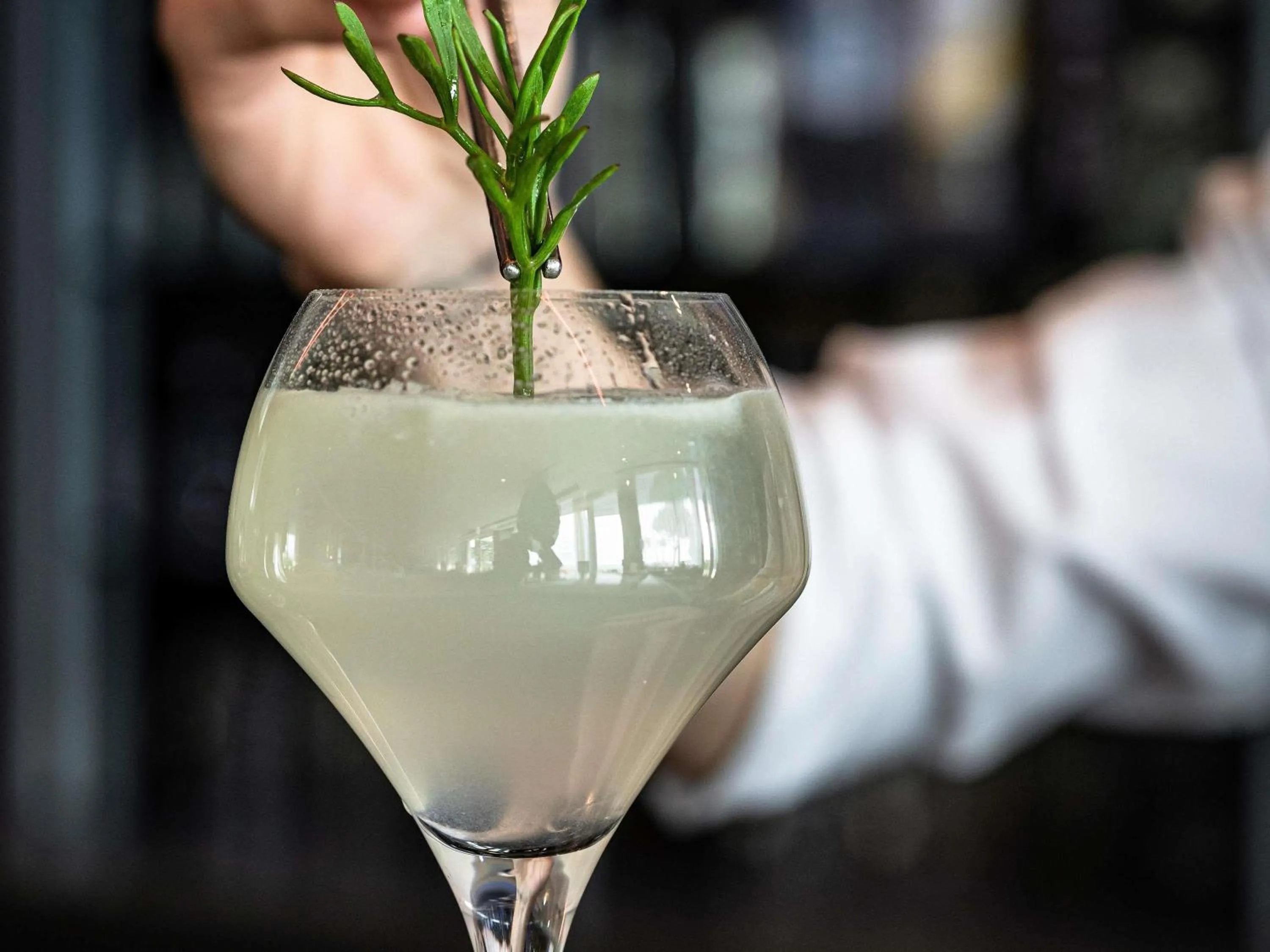 Lounge or bar in Sofitel Quiberon Thalassa sea & spa