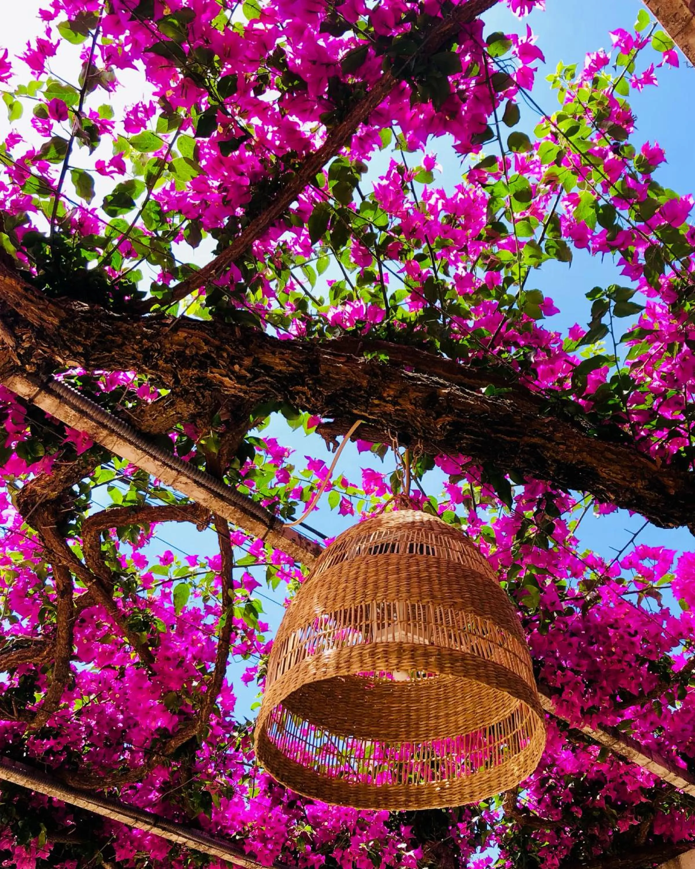 Off site in Sol Port Soller