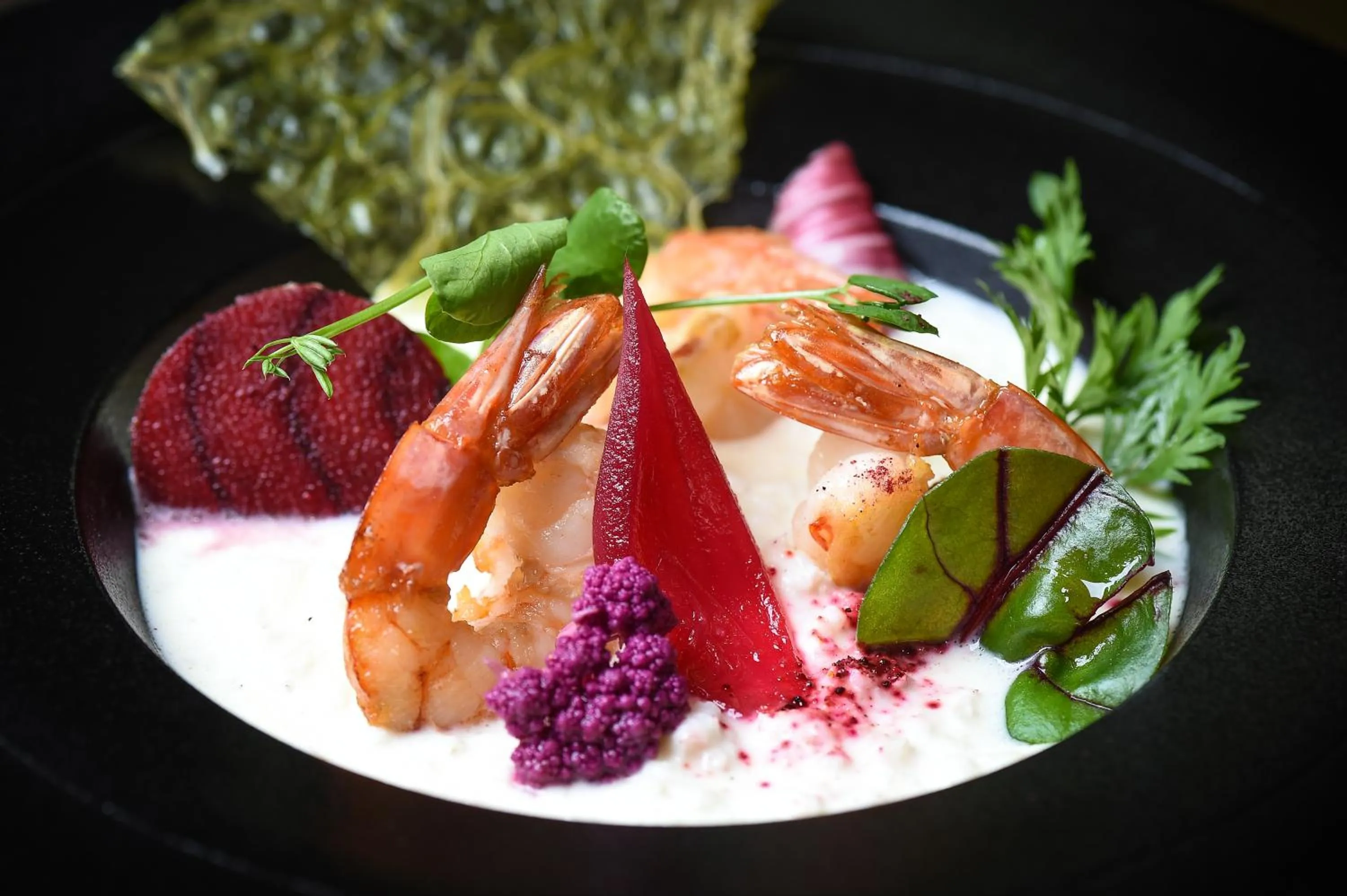 Restaurant/places to eat in Mercure Dijon Centre Clemenceau