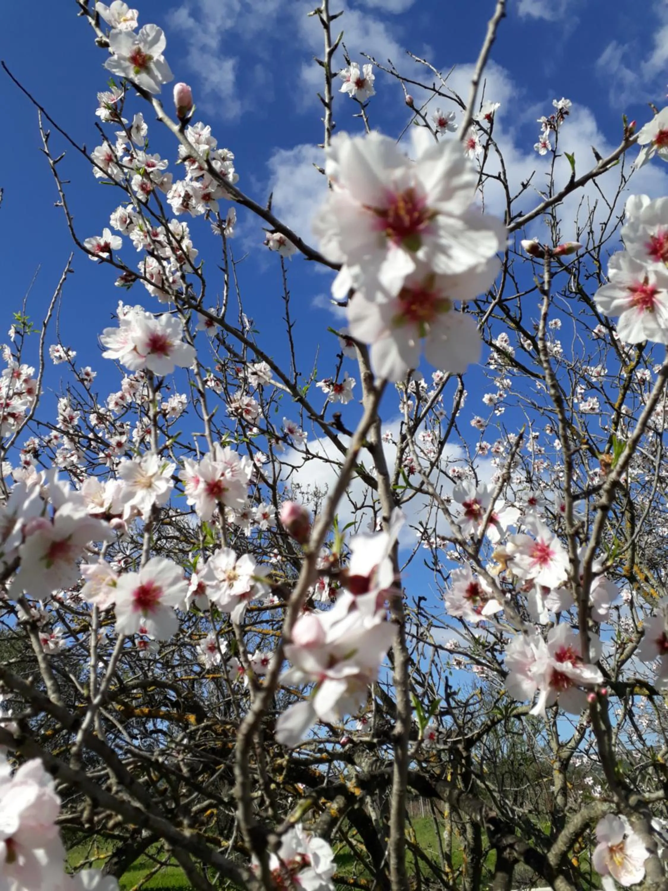 Other in B&B S'ARROSA ANTIGA