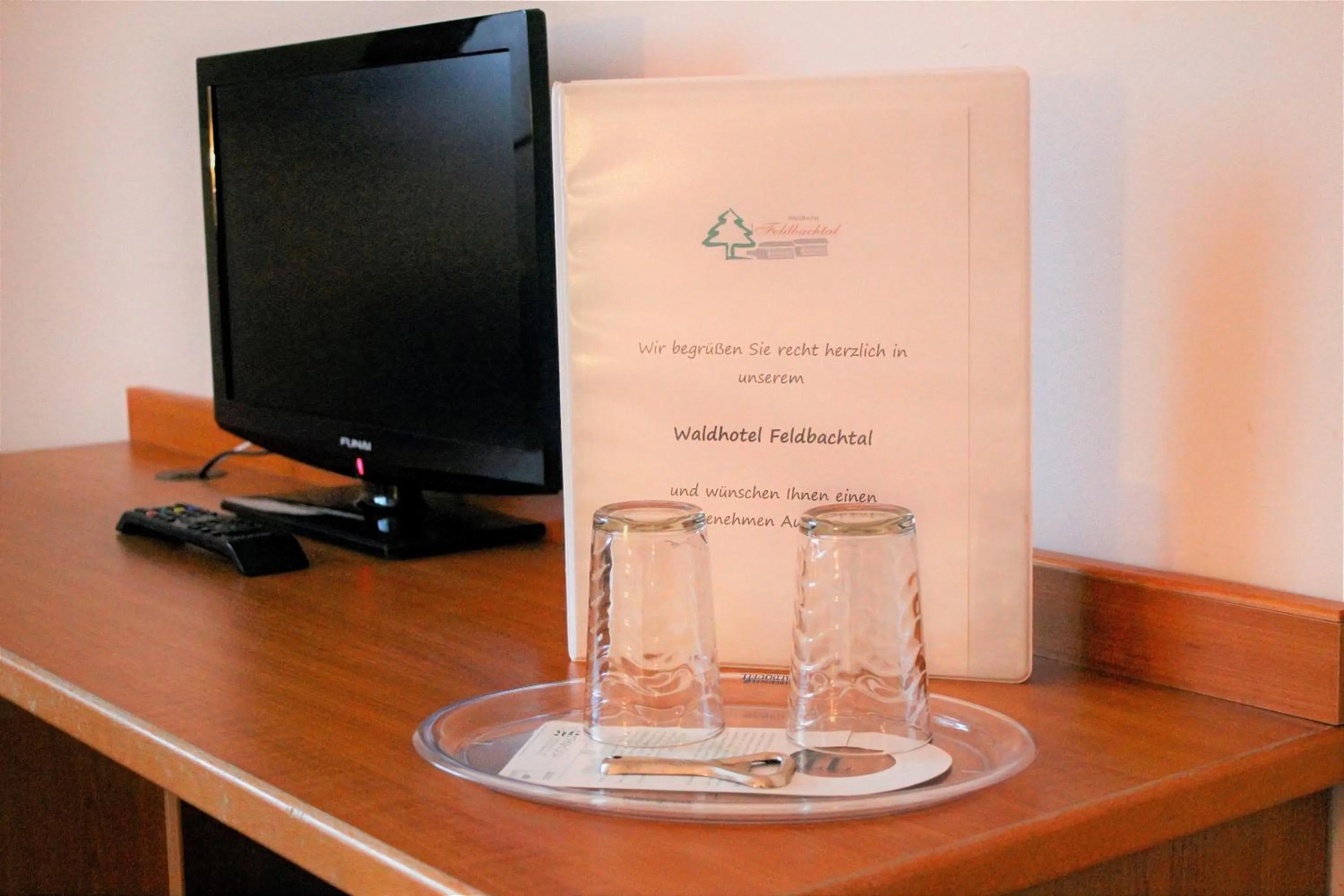 TV and multimedia in Waldhotel Feldbachtal