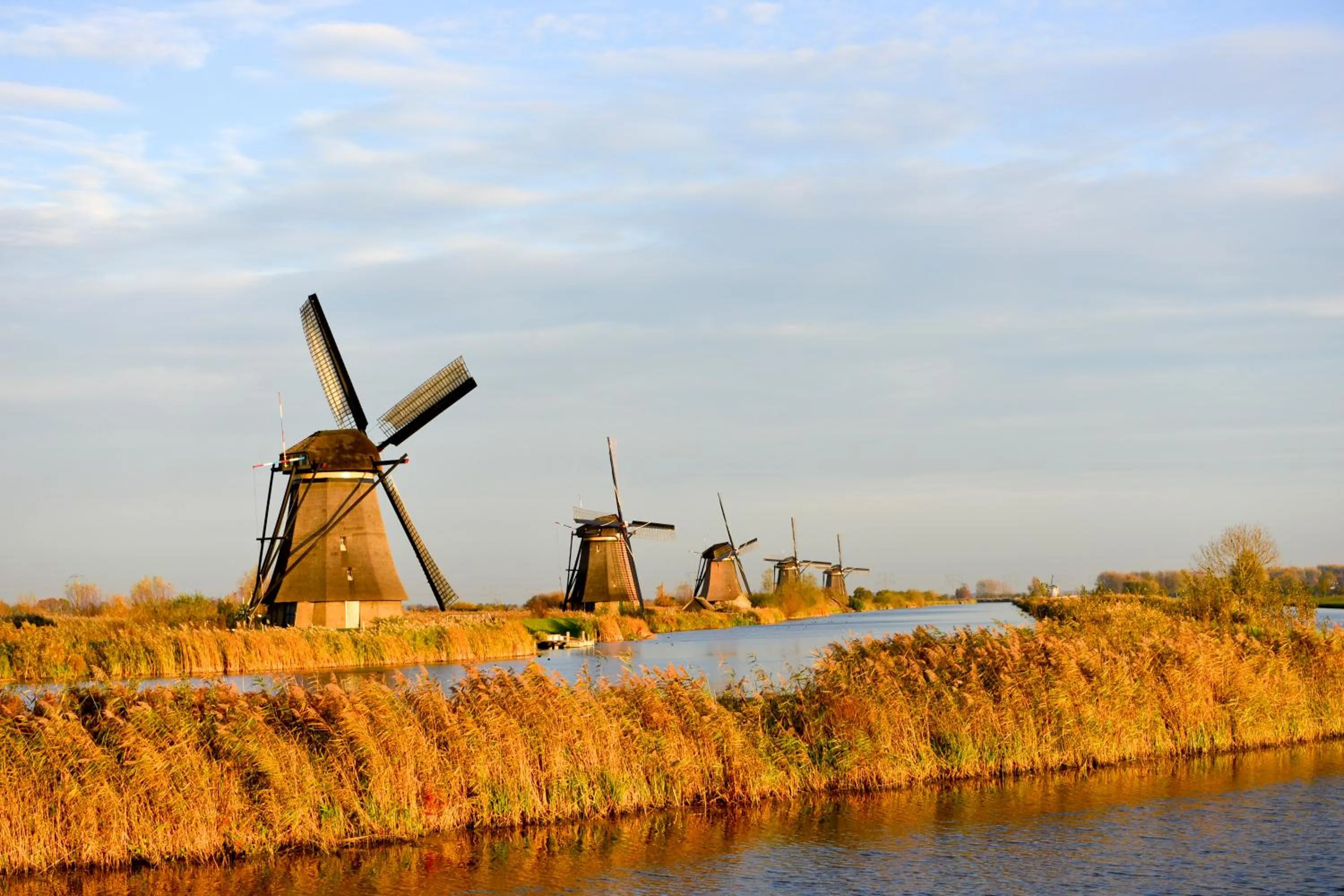 Nearby landmark in B & B Meet the Dutch