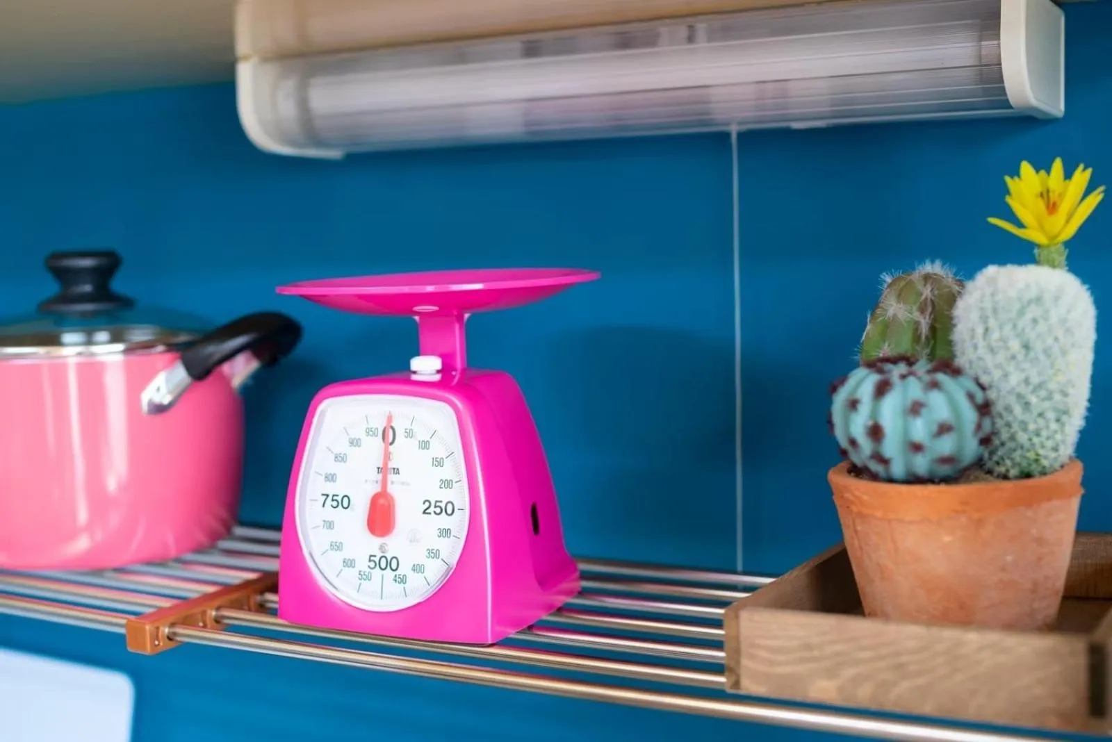 Clover rooms 406 - Vacation STAY 54840