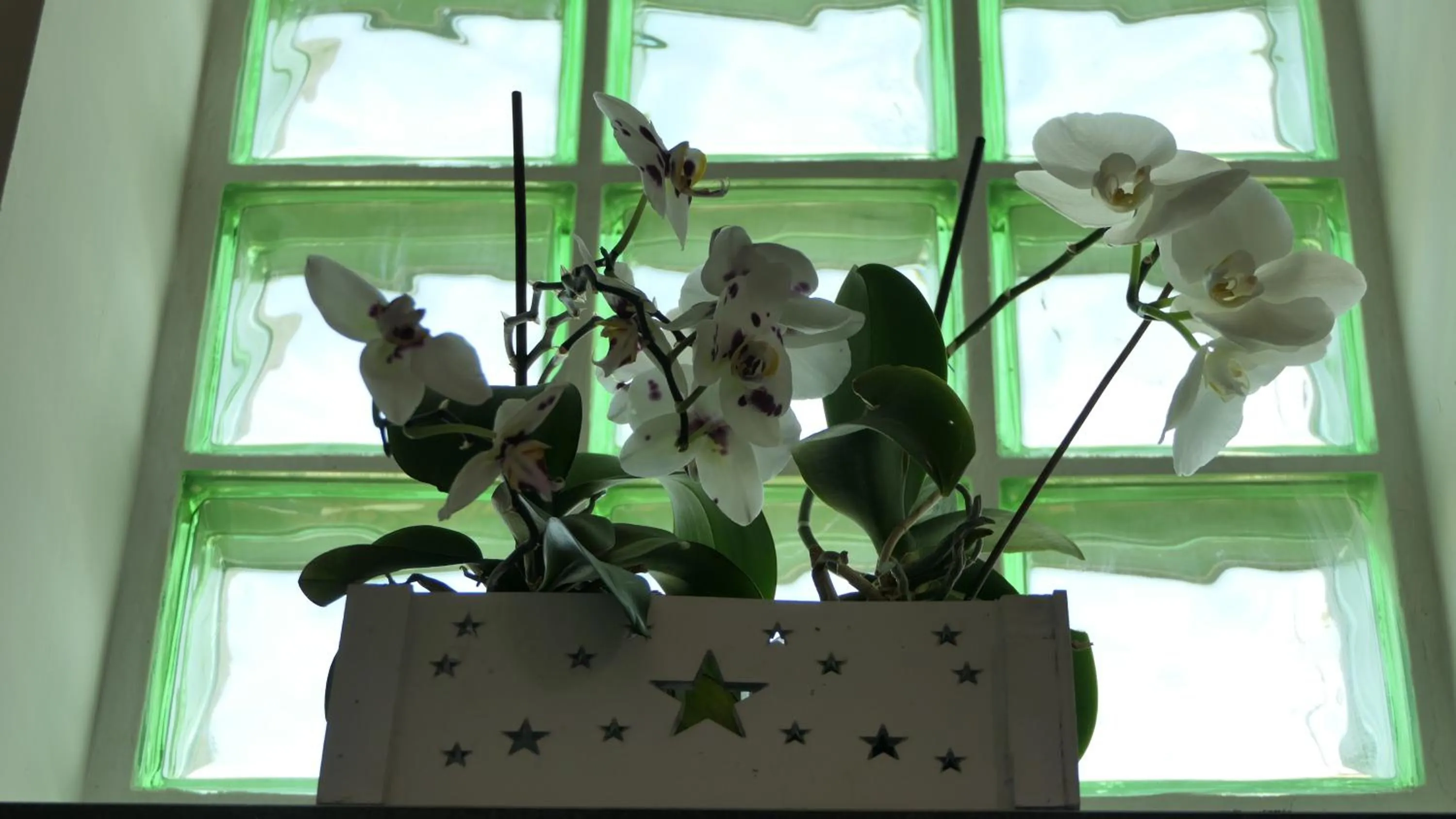 Decorative detail in A 2 Passi Dagli Dei