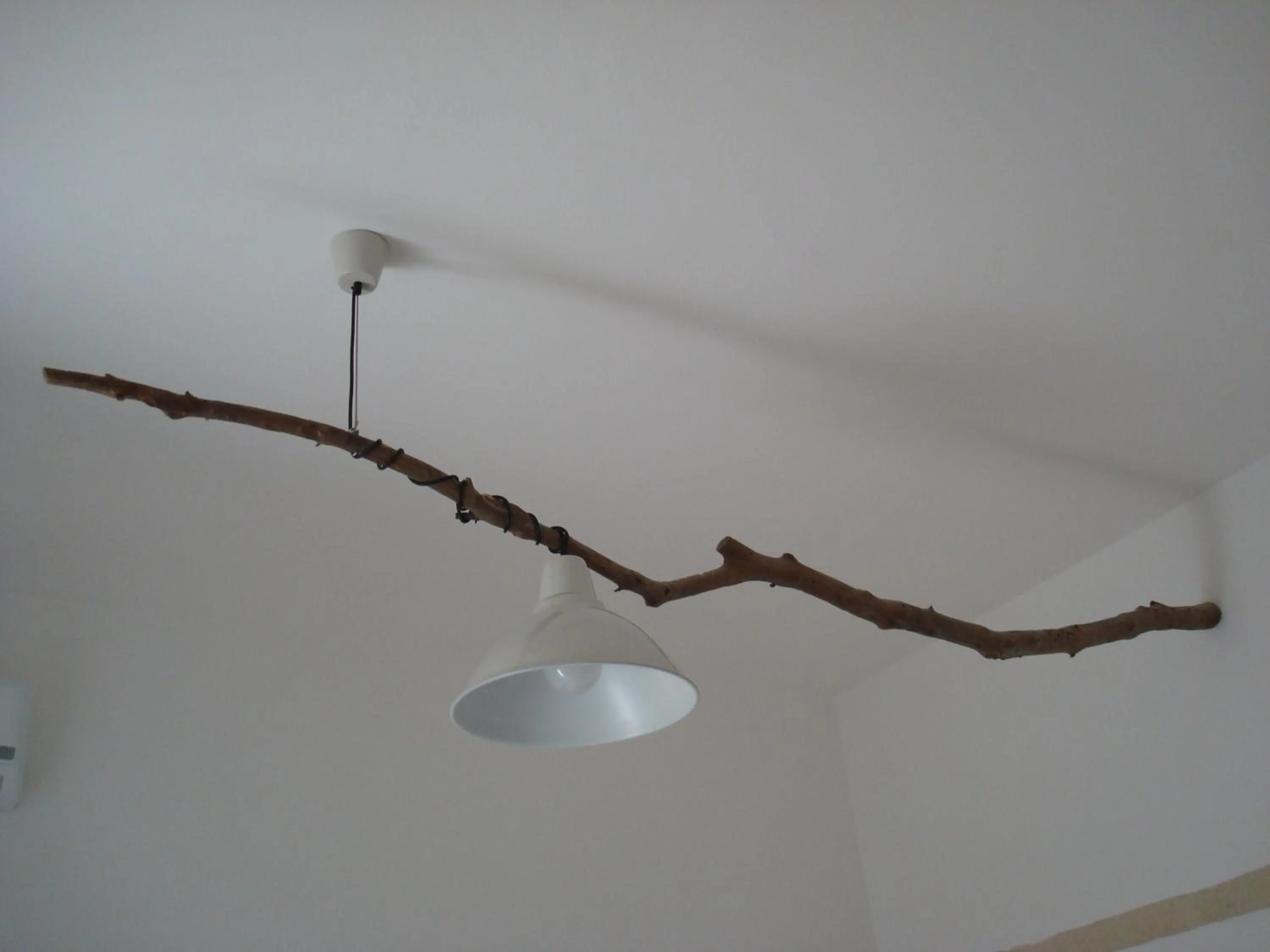 Photo of the whole room in Lama Cupa