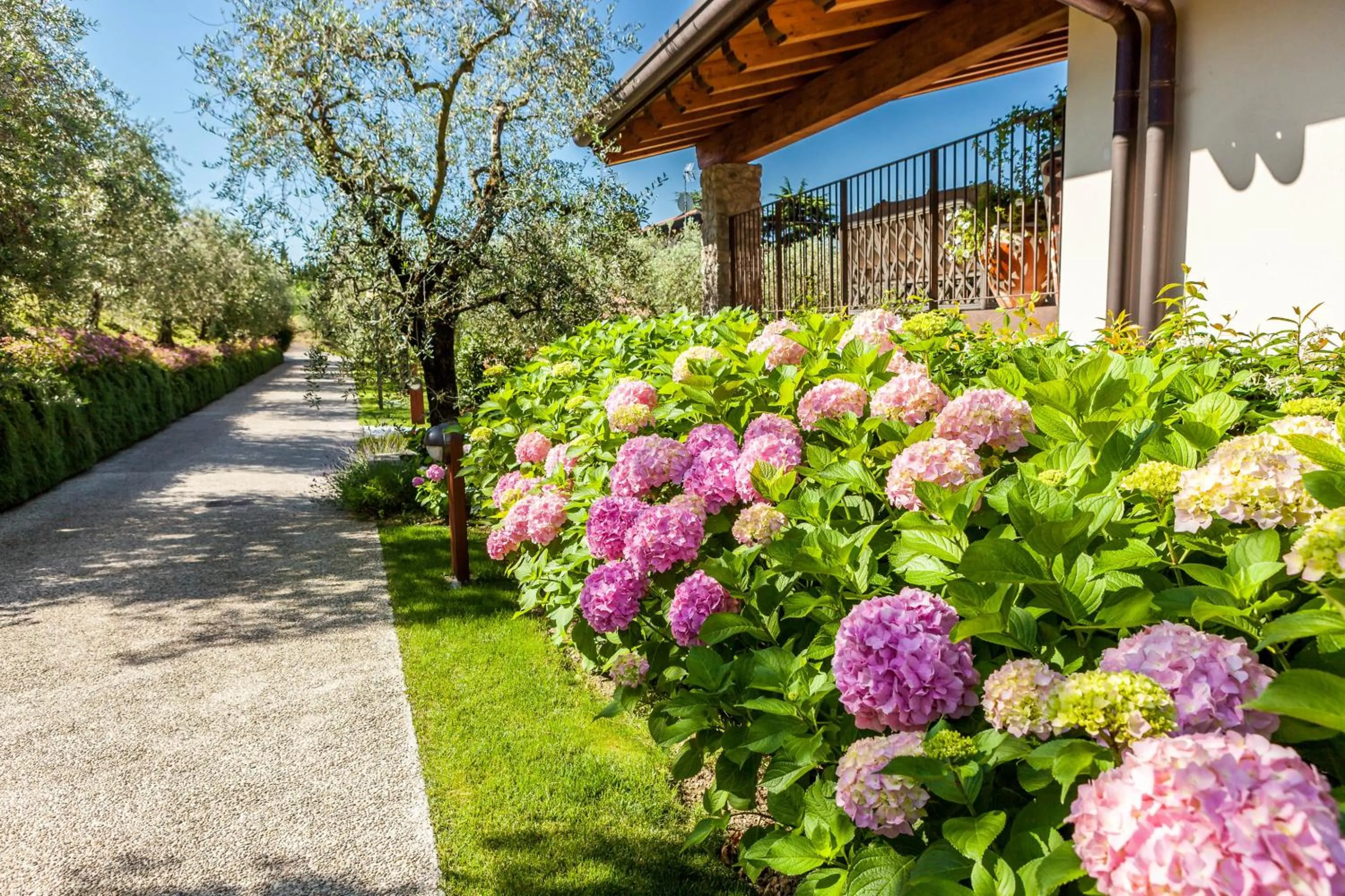 Spring in Quercia Belvedere Relais