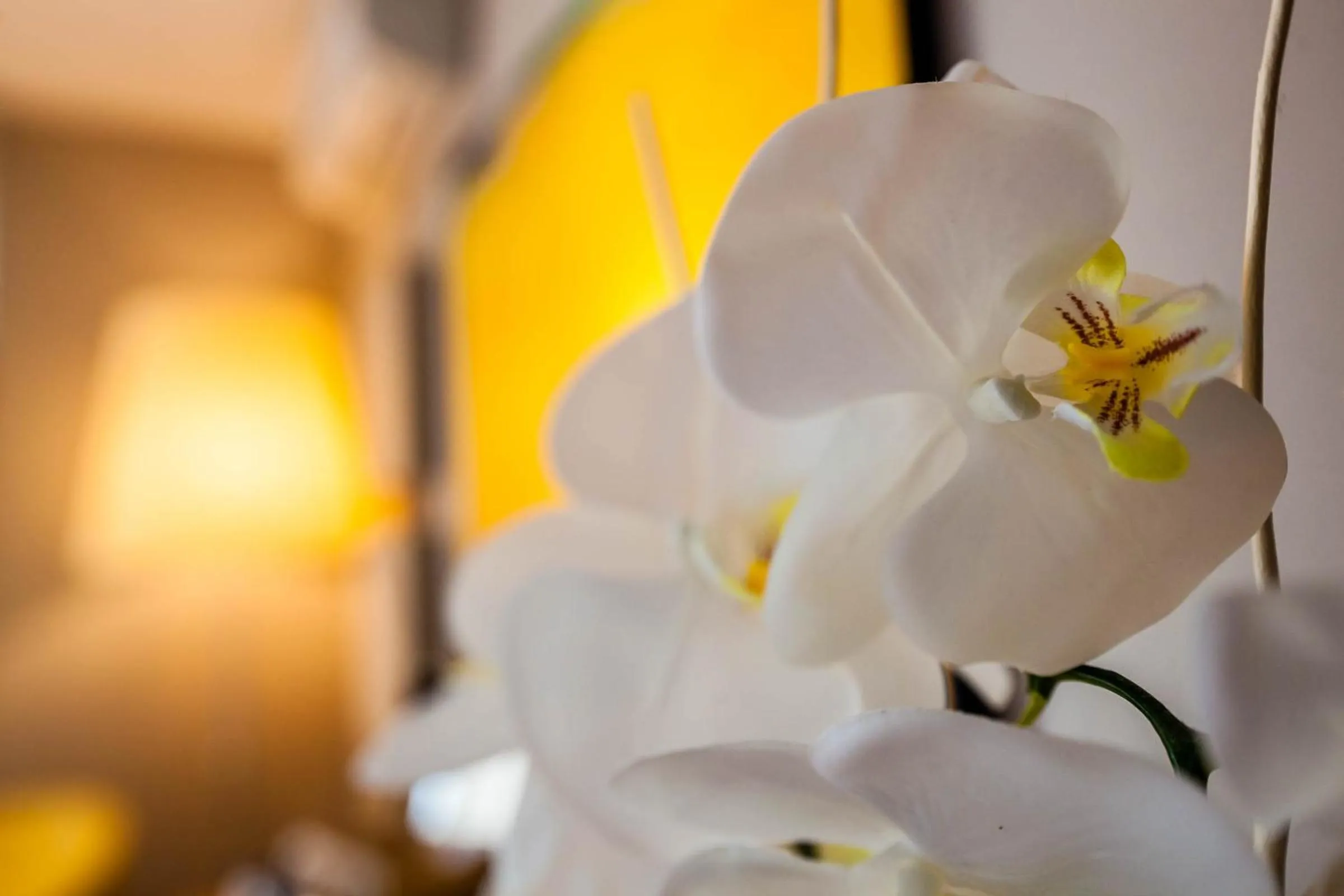 Decorative detail in Quercia Belvedere Relais