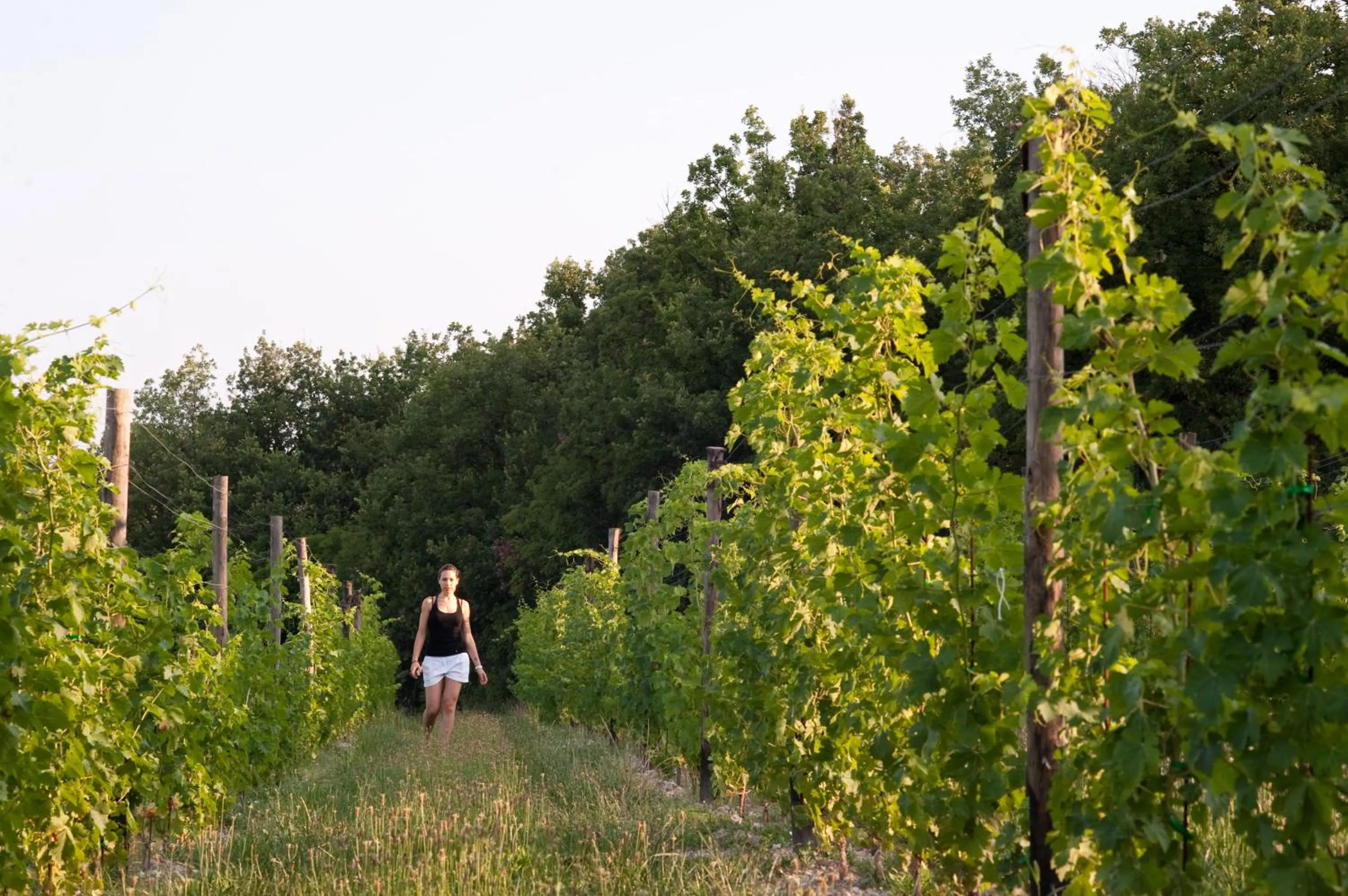 Facade/entrance in Quercia Belvedere Relais