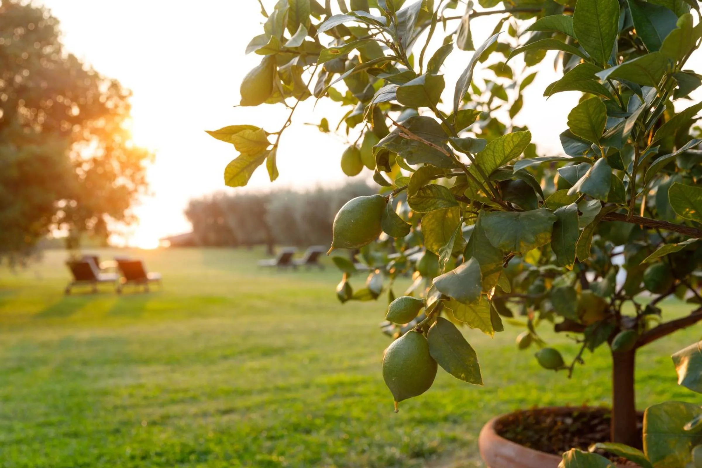 Garden in Quercia Belvedere Relais