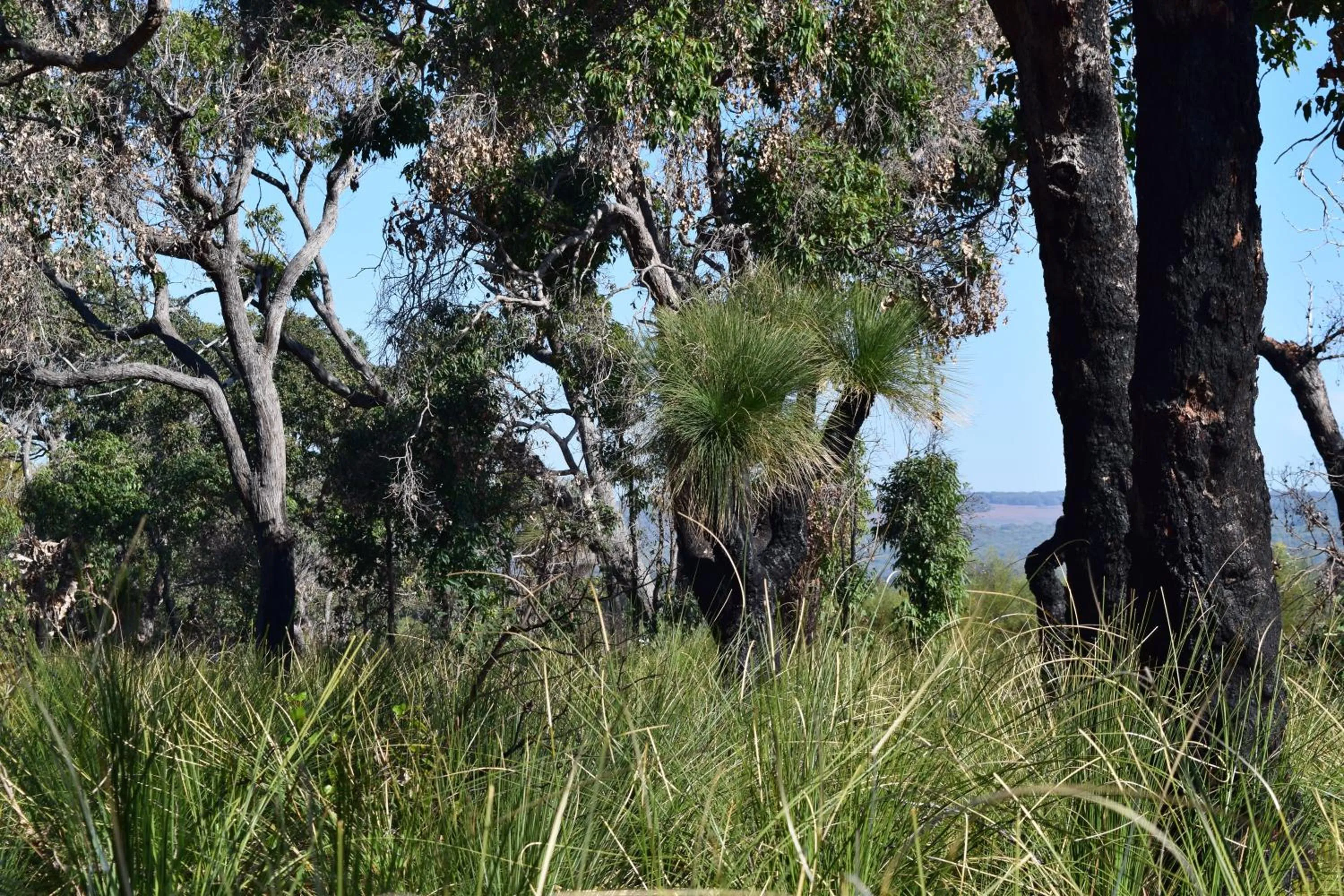 Natural landscape in Eagle Bay House