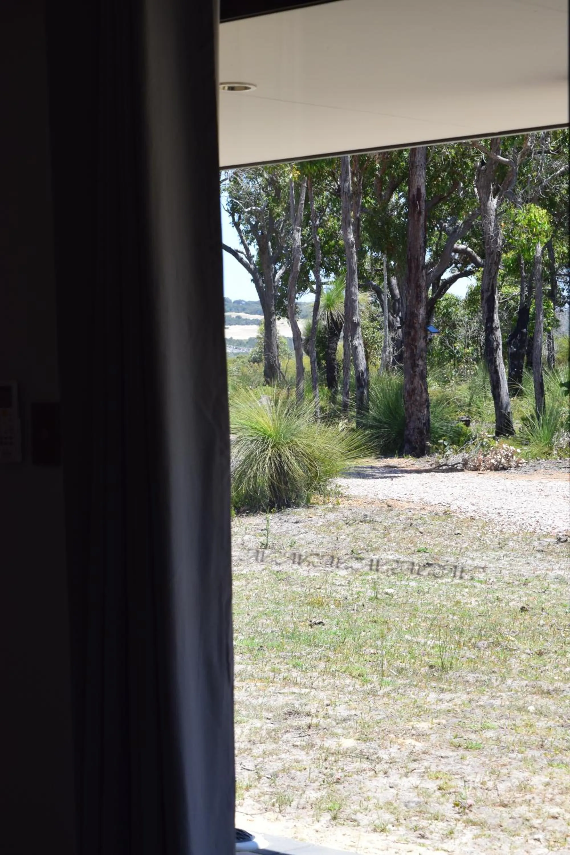 Garden view in Eagle Bay House
