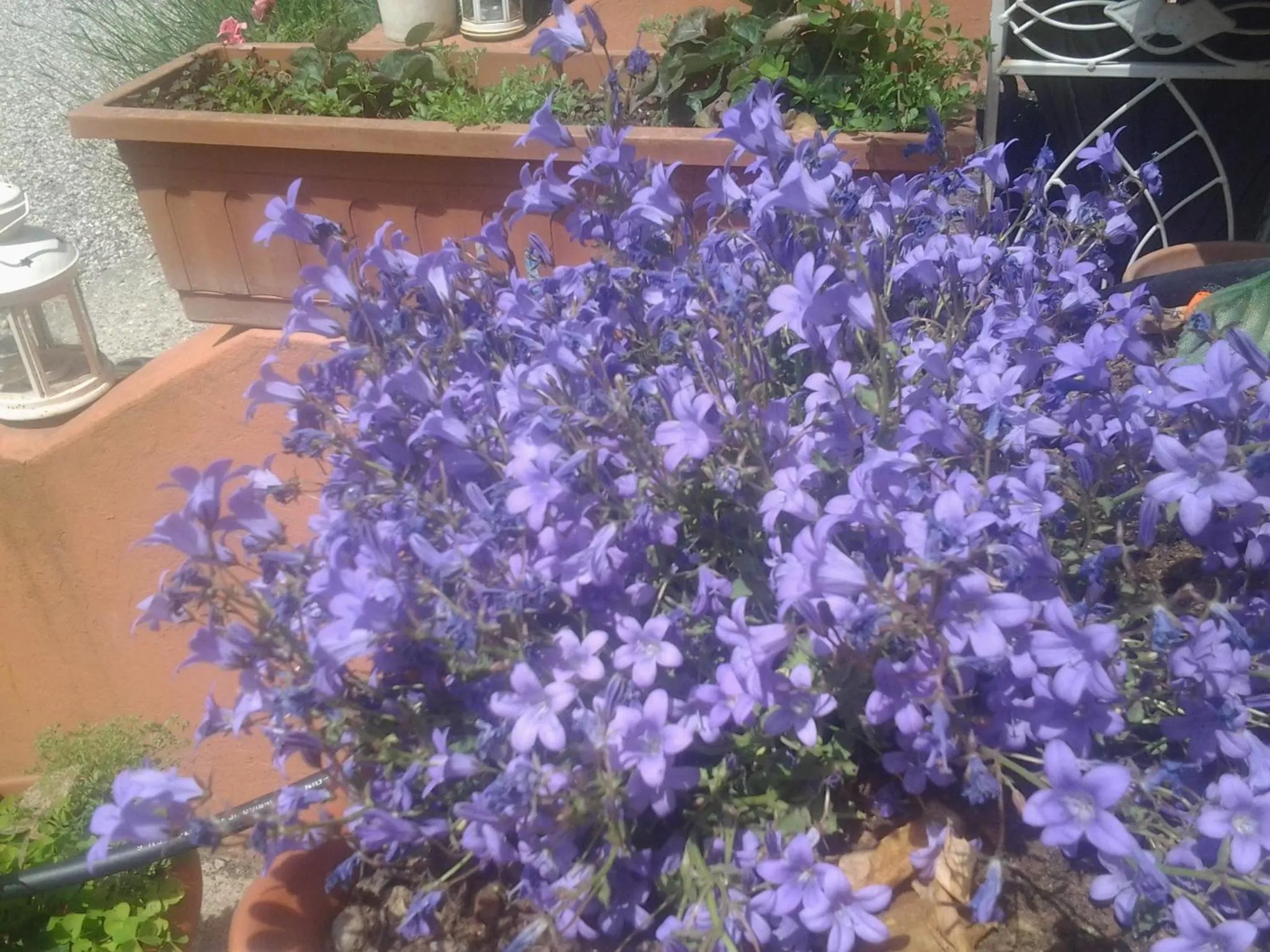 Spring in Dolce Vita