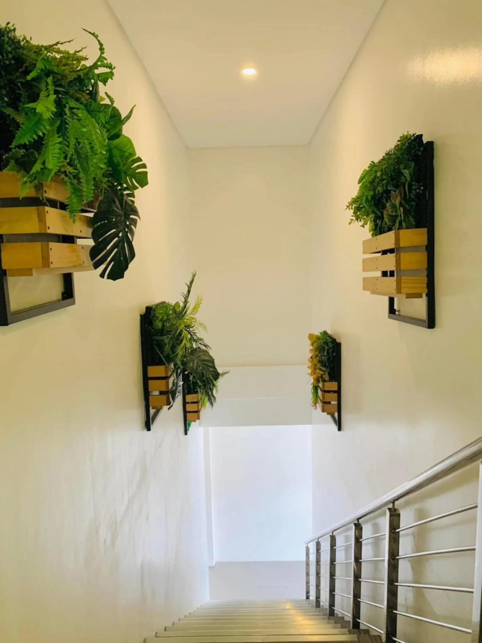 Property building in Kojõ Hotel Tagum