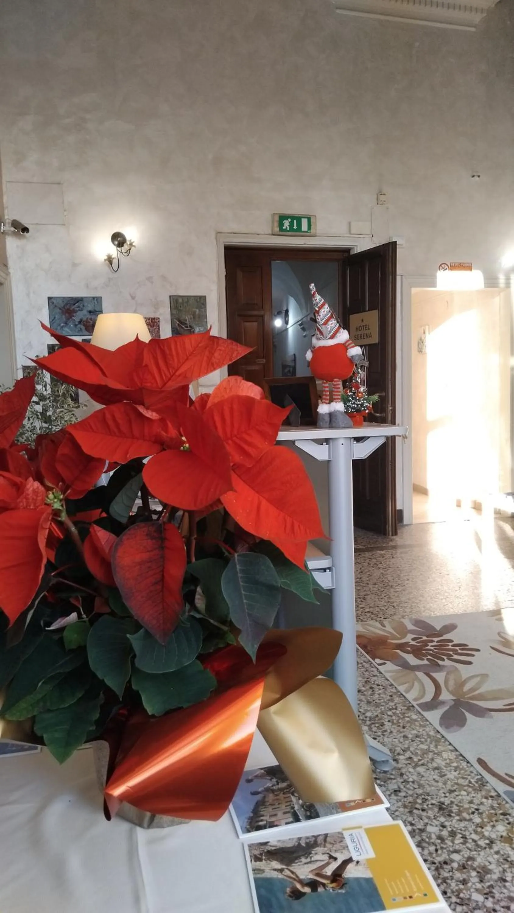 Lobby or reception in Hotel Serena