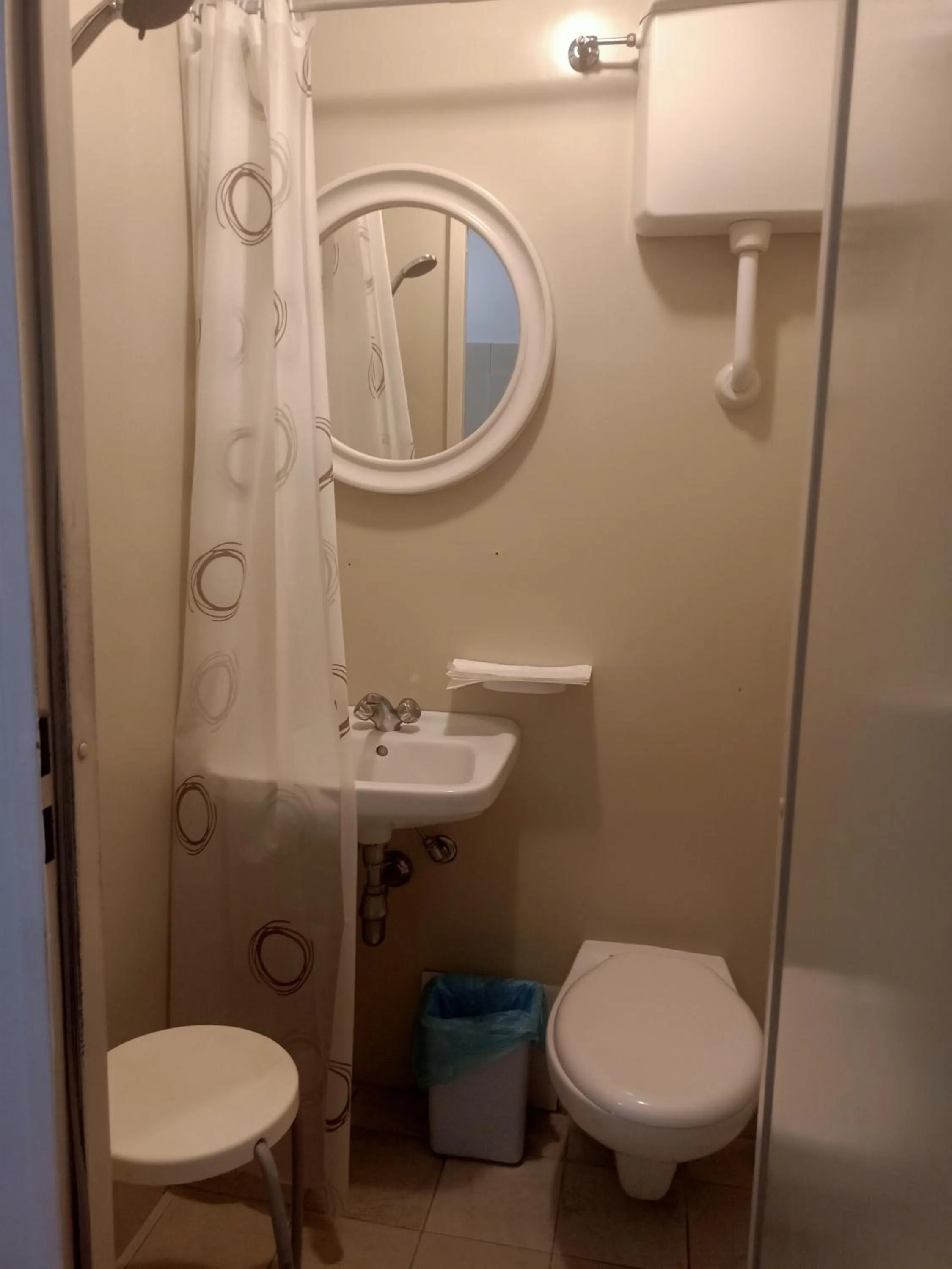 Toilet in Hotel Serena