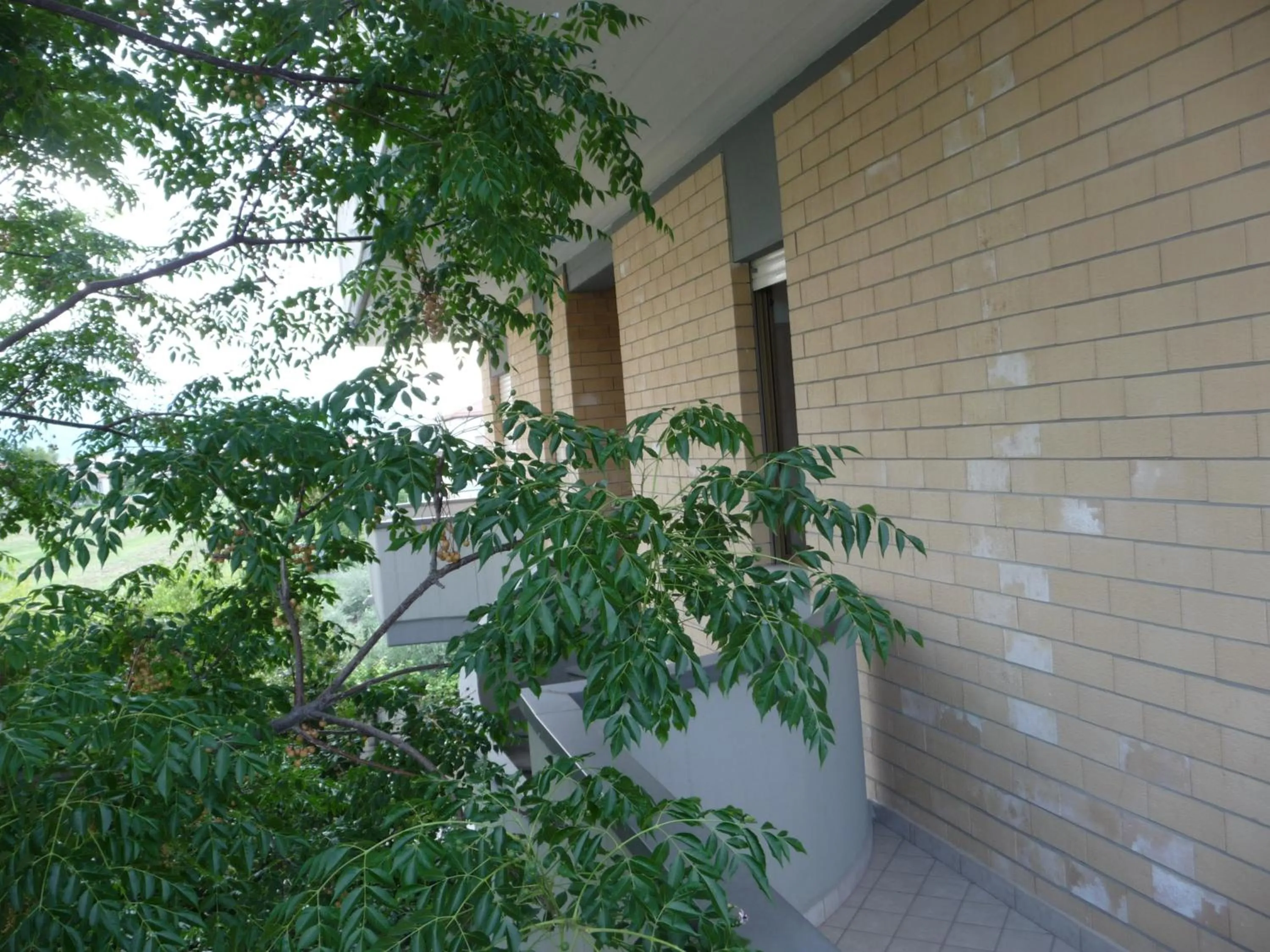 Balcony/Terrace in Hotel Naxos B&B