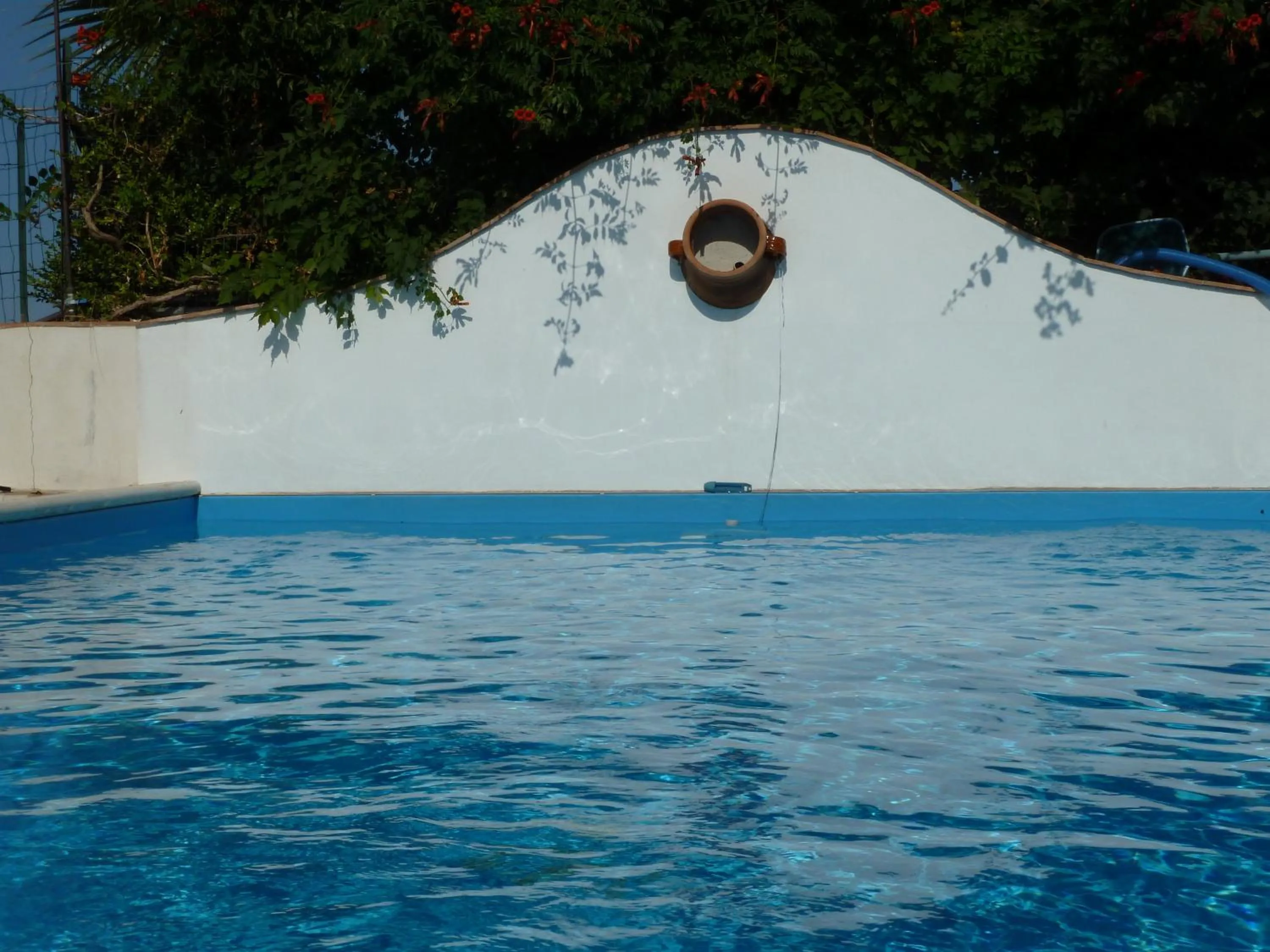 Swimming pool in B&B Villa Di Giorgi