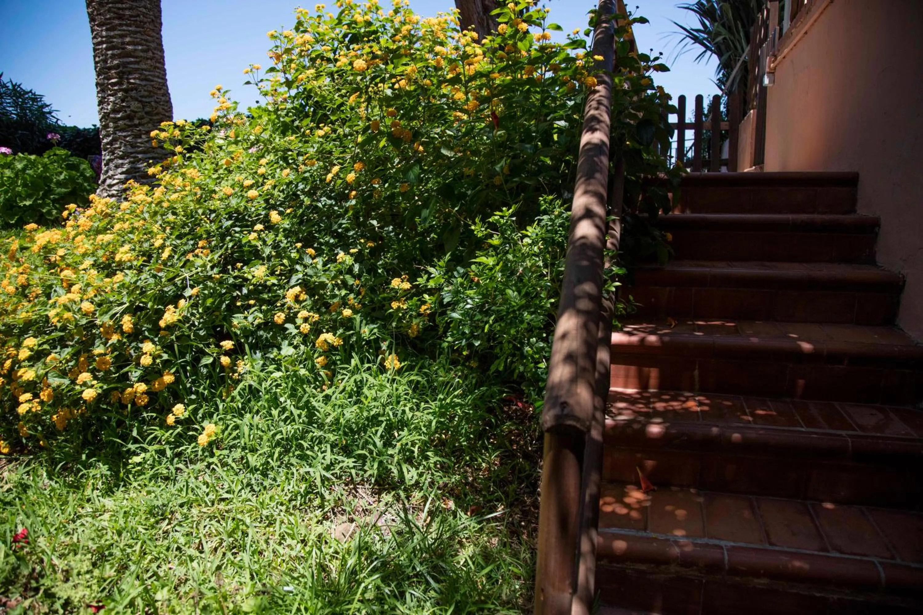 Other in B&B Villa Di Giorgi