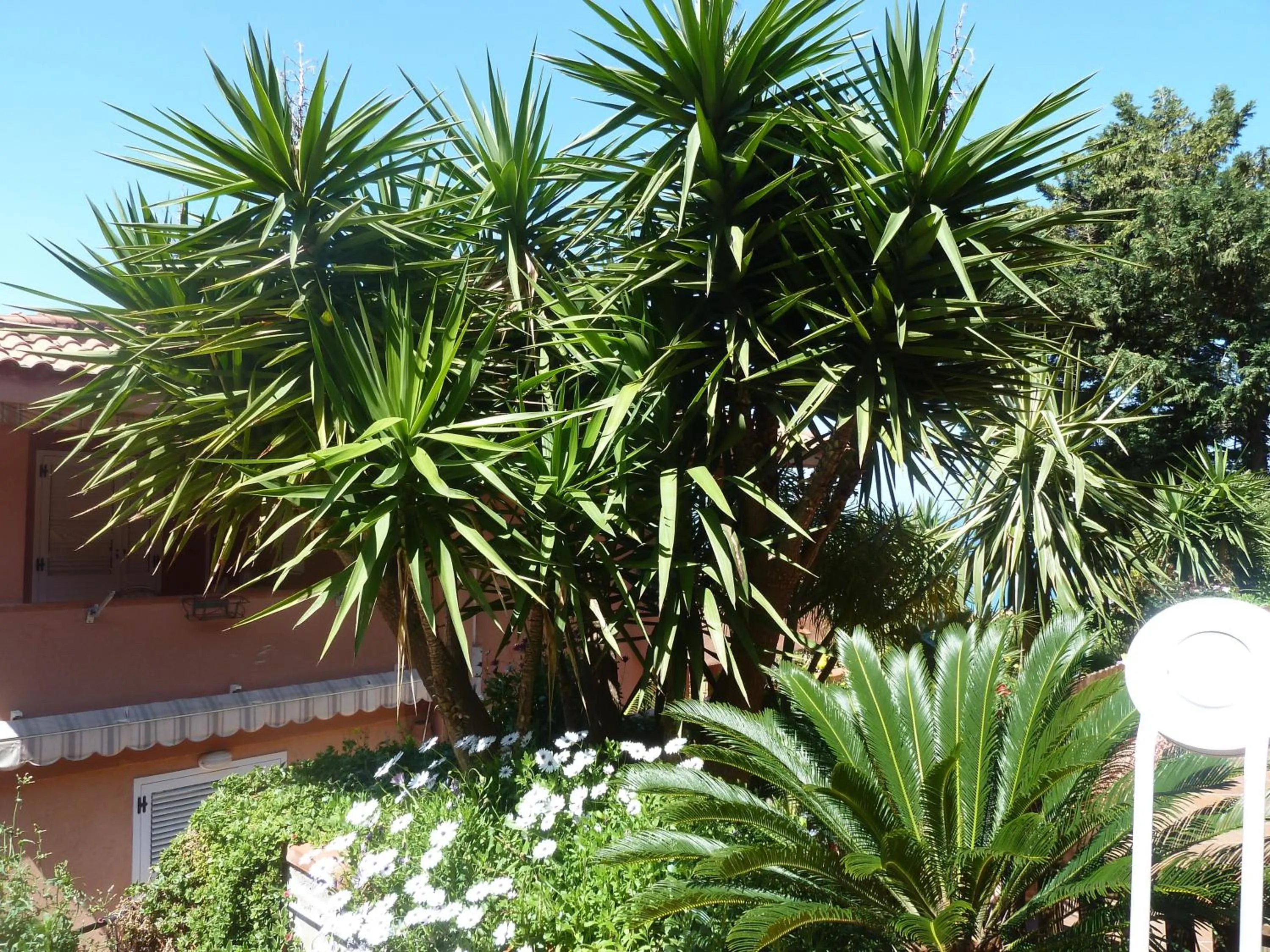 Garden in B&B Villa Di Giorgi