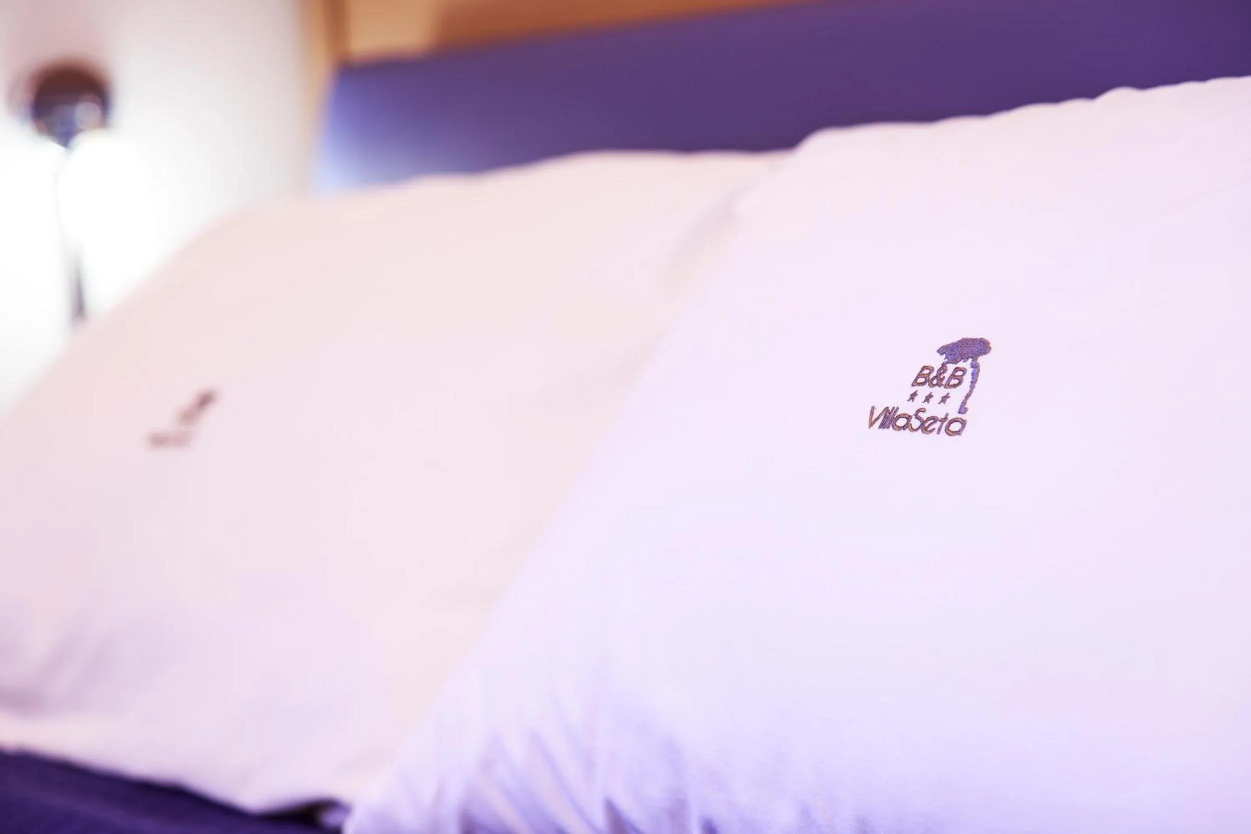 Decorative detail, Bed in B&B Villa Seta