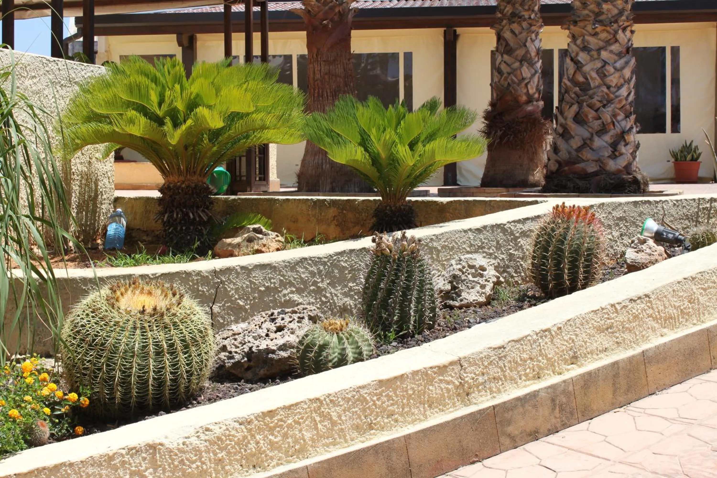 Garden in Villa Mozia