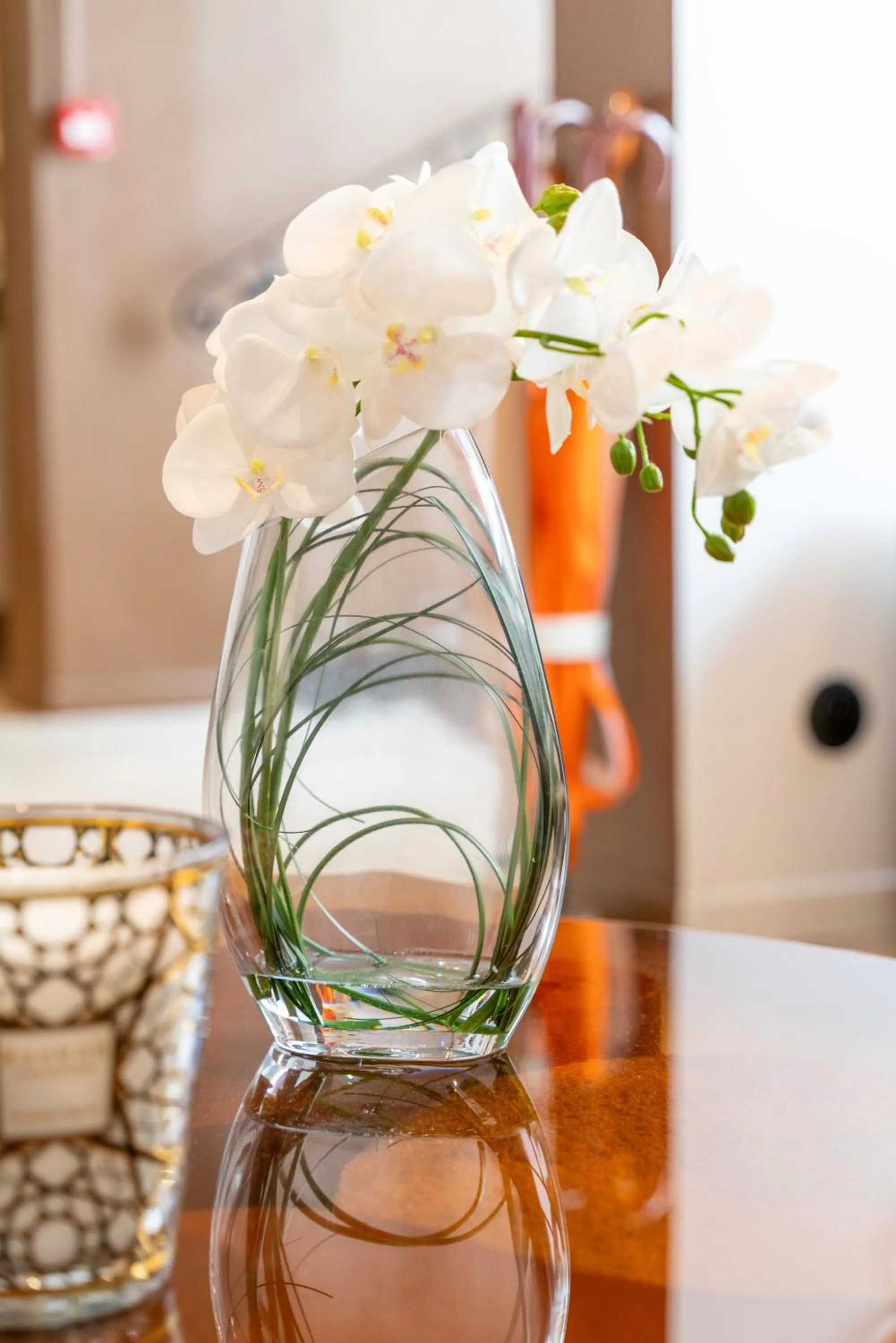 Hôtel Comté de Nice