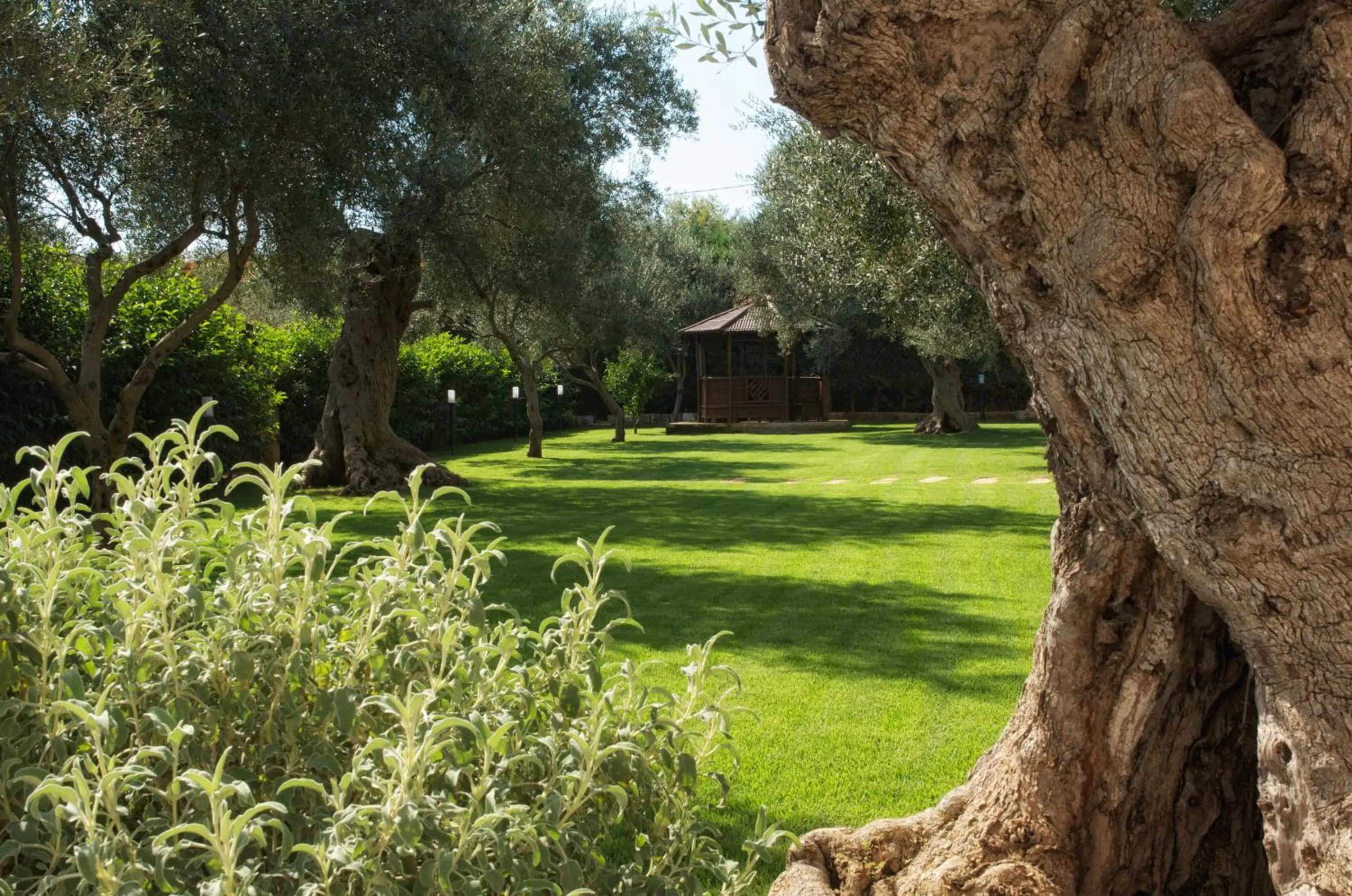 Garden in Residence Contrada Schite