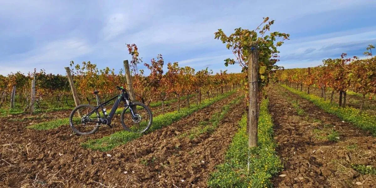 Cycling in B&B Mandorla Amara