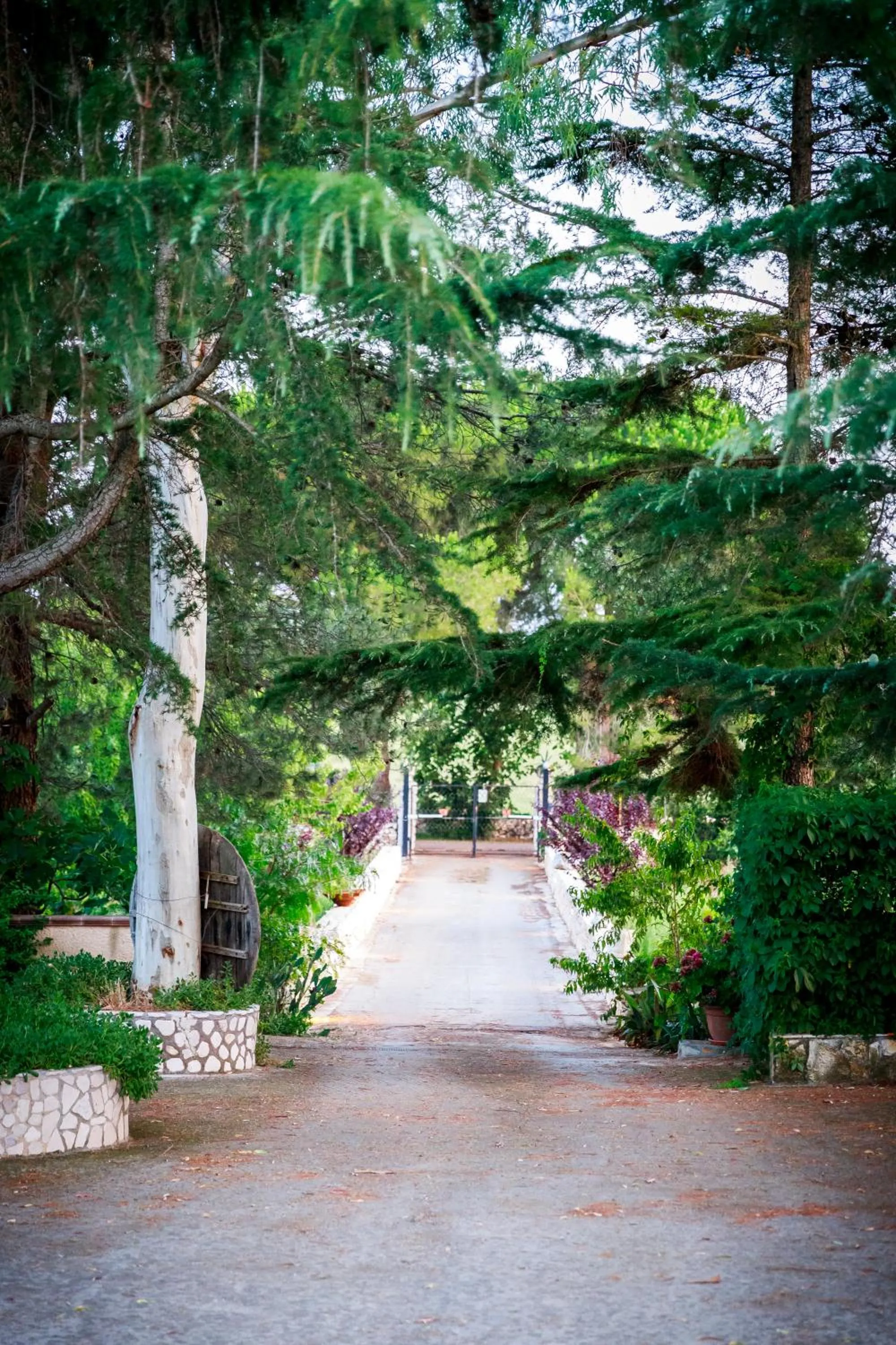 Property building in B&B Mandorla Amara