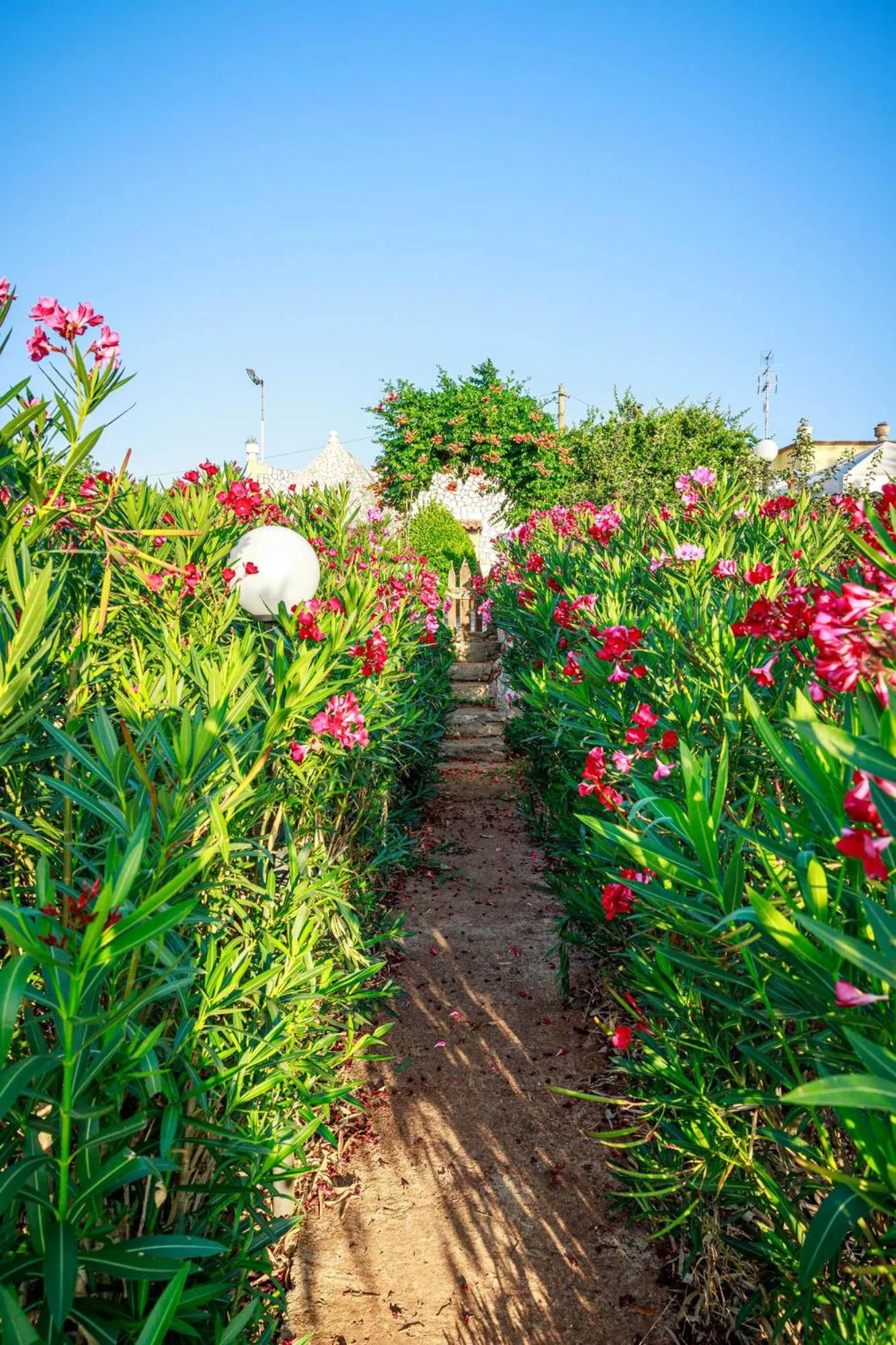 Natural landscape in B&B Mandorla Amara