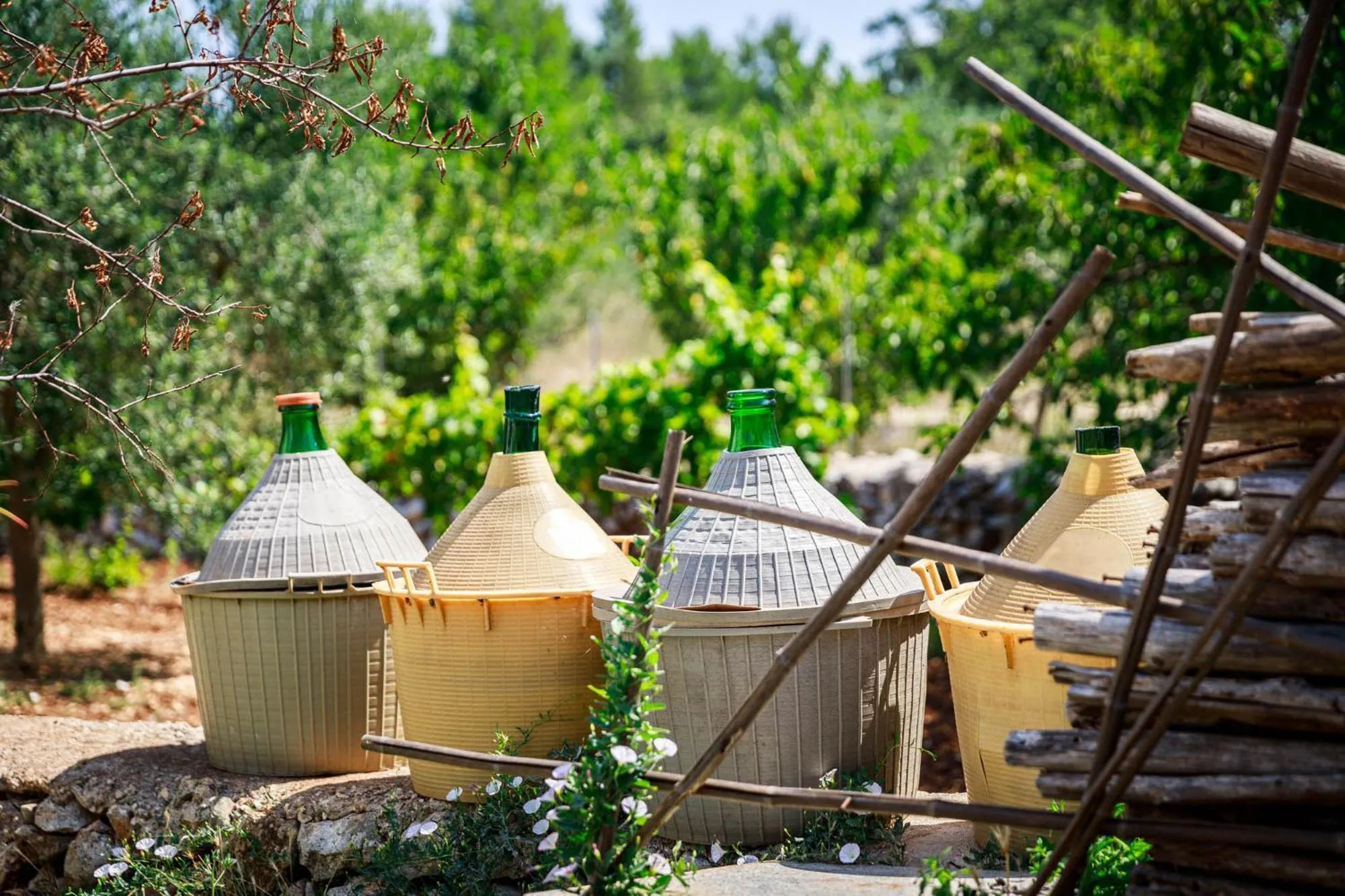 Natural landscape in B&B Mandorla Amara