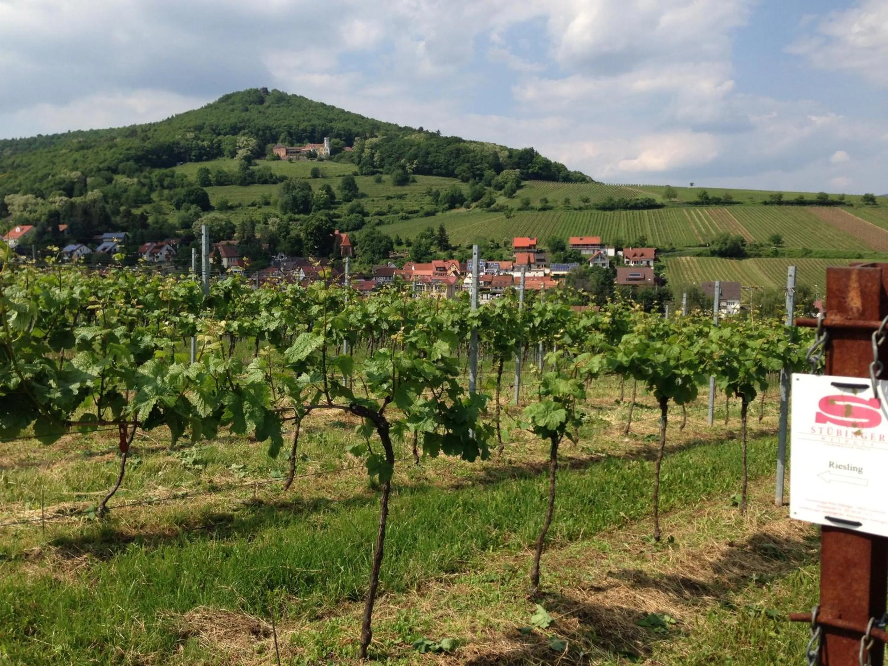 Other in Lauras Weinherberge