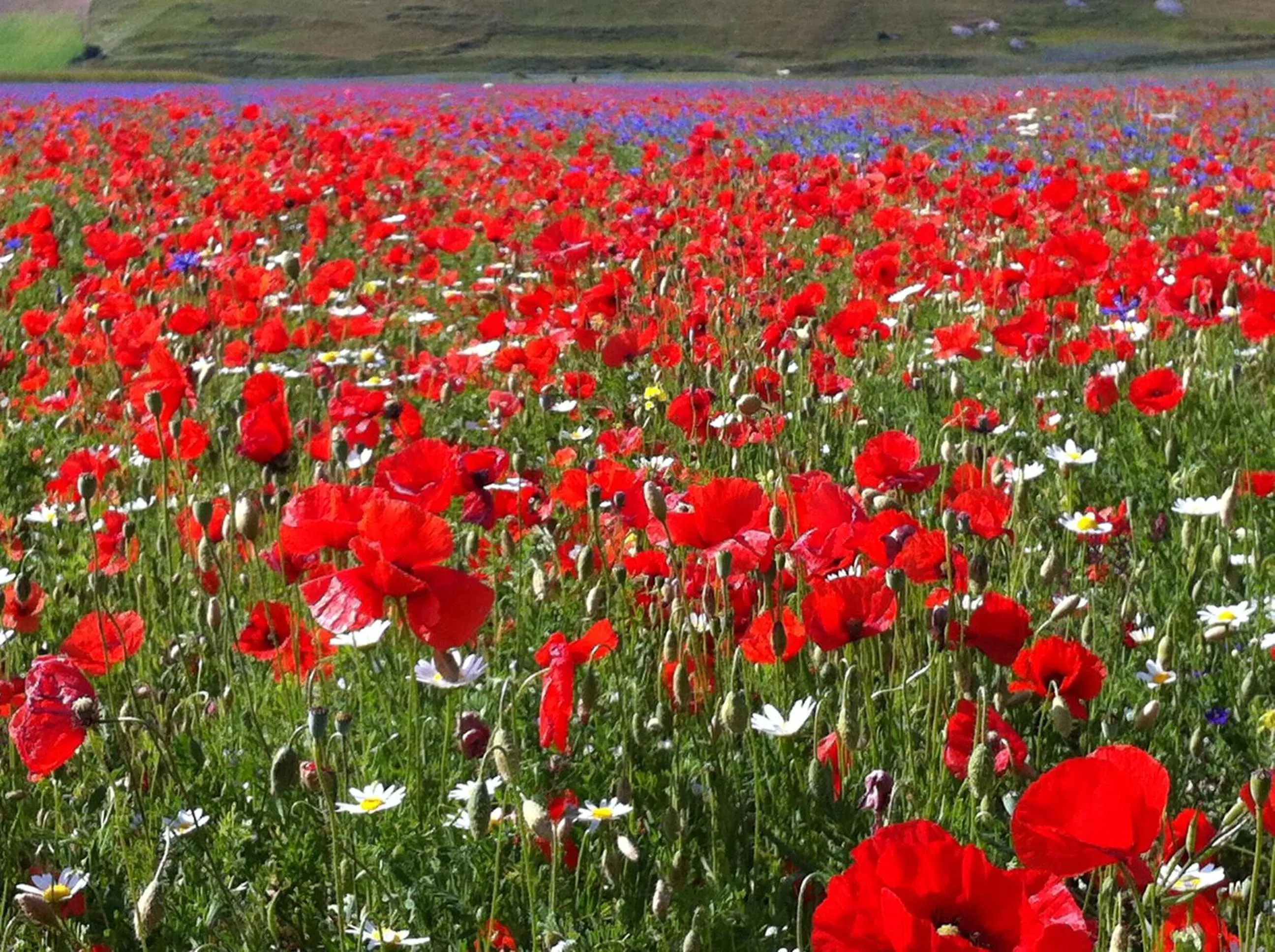 Natural landscape in Il Nascondiglio - The Hideaway