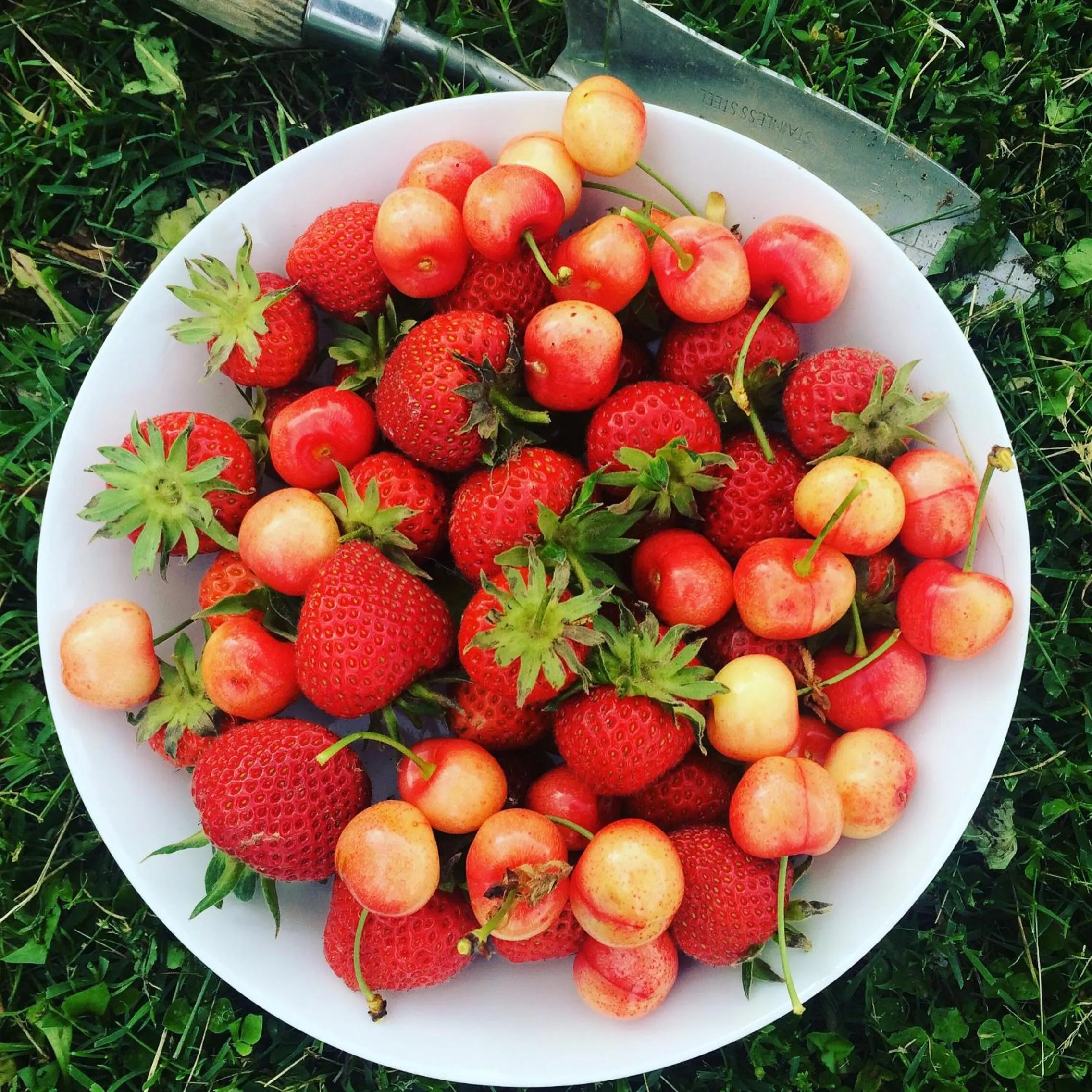 Food close-up in Il Nascondiglio - The Hideaway