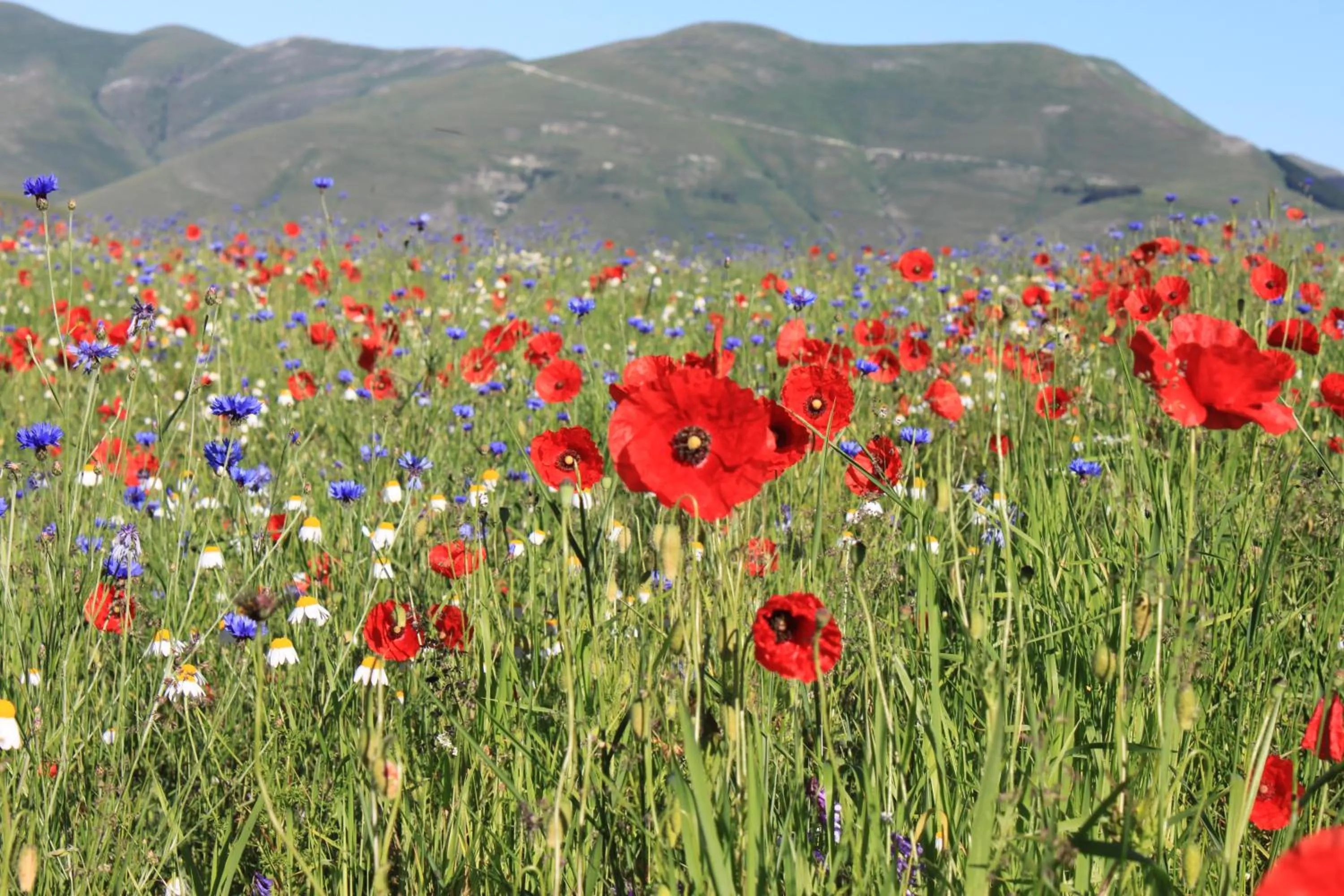 Natural landscape in Il Nascondiglio - The Hideaway