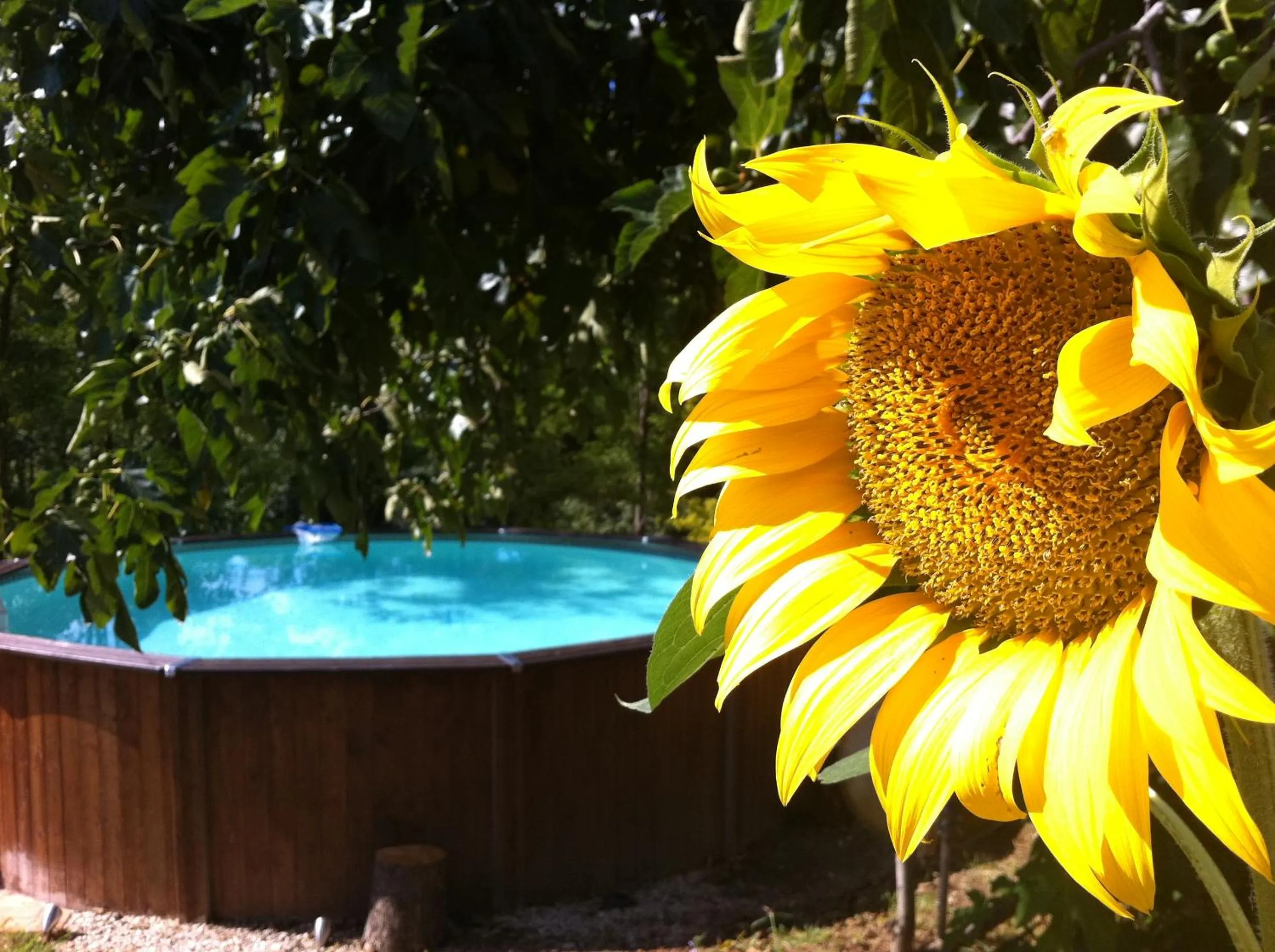 Garden in Il Nascondiglio - The Hideaway