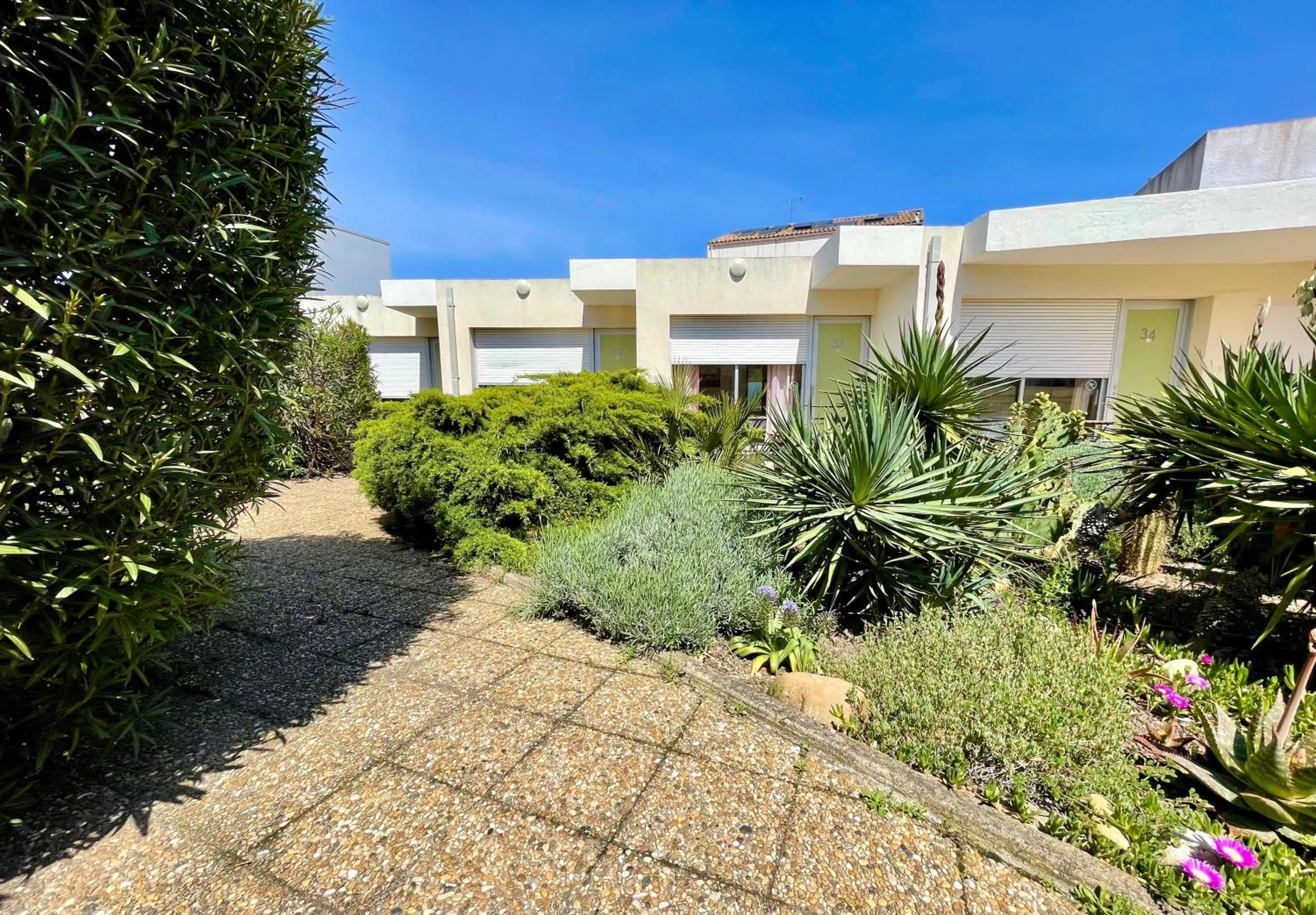 Garden view in Hotel AMERIQUE