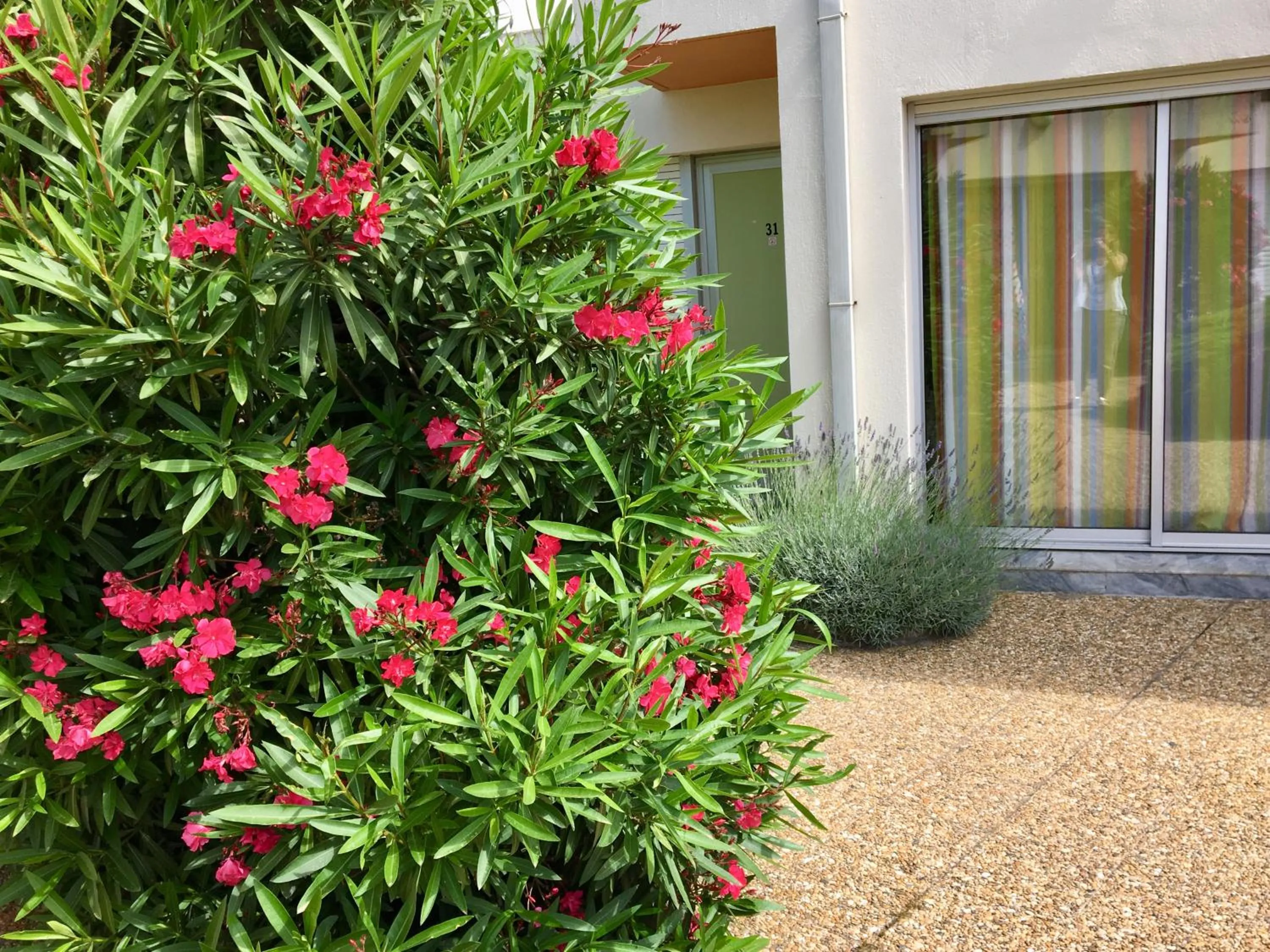 Off site in Hotel AMERIQUE