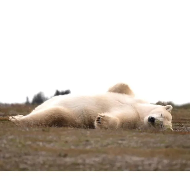 Bears Den Guest House