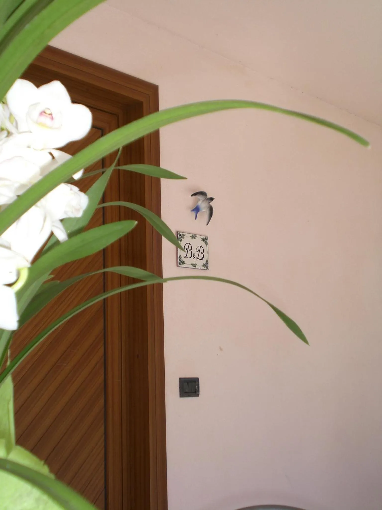 Decorative detail in B&B CAV Rondinella