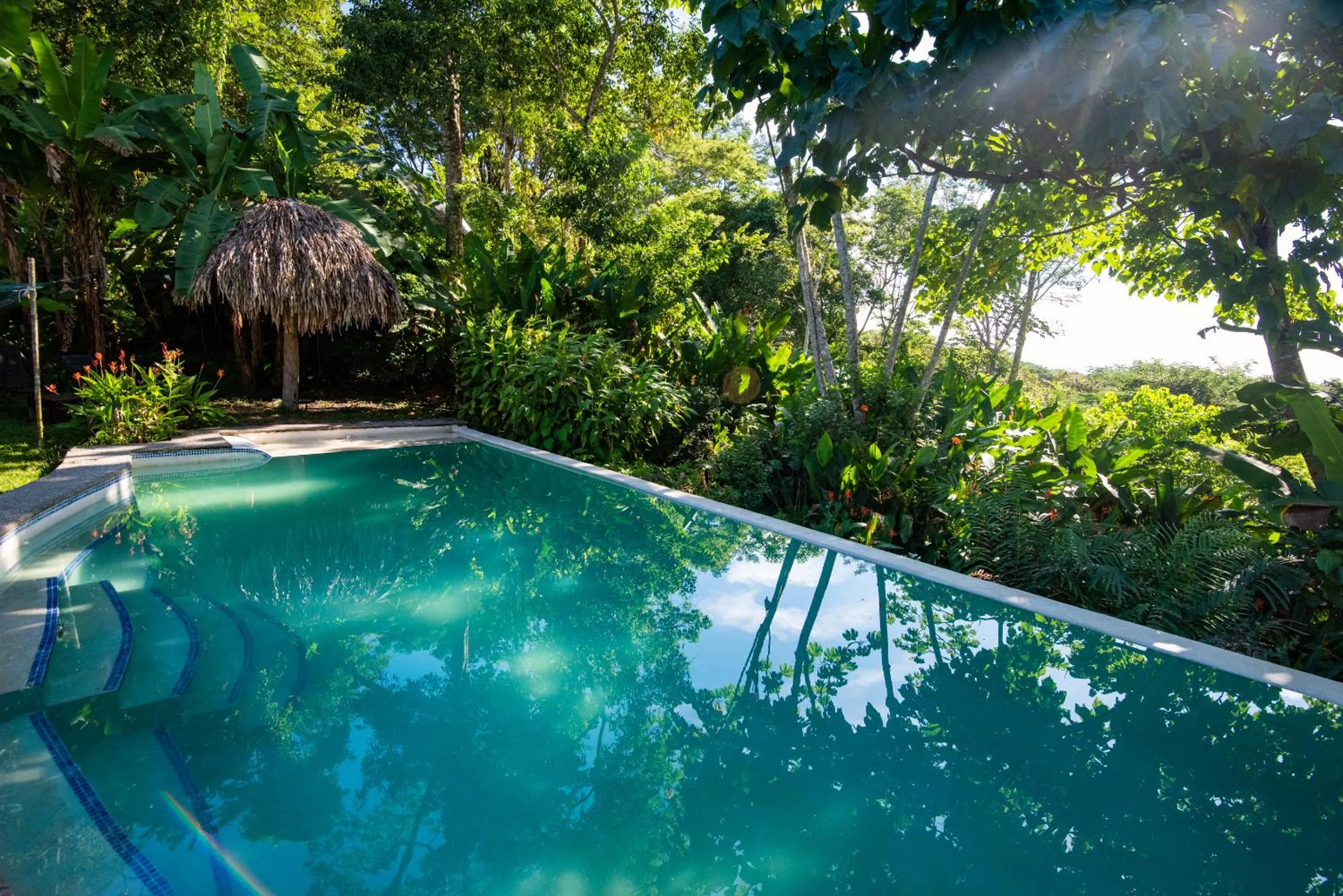 Swimming pool in Jungle Lodge at Wild Sun Rescue Center