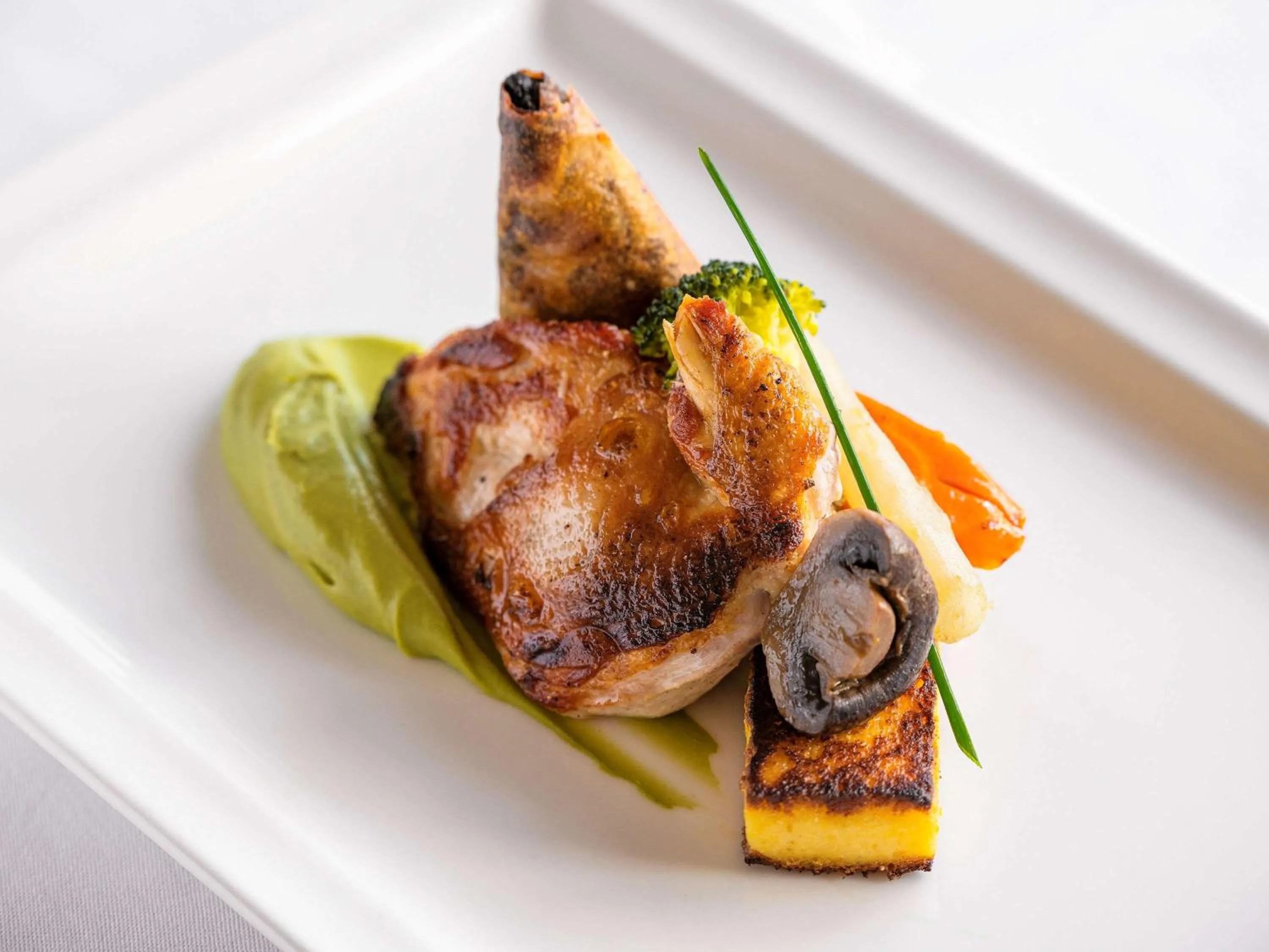 Restaurant/places to eat in Mercure Castres L'Occitan