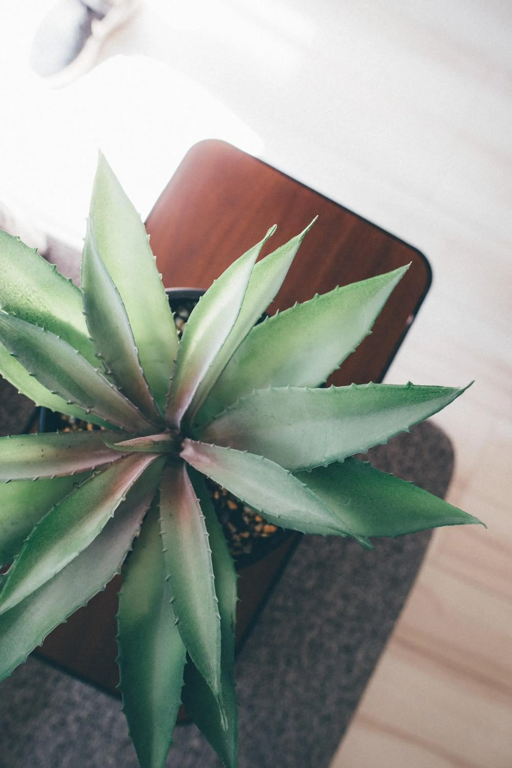 Decorative detail in Dash Living Nihonbashi