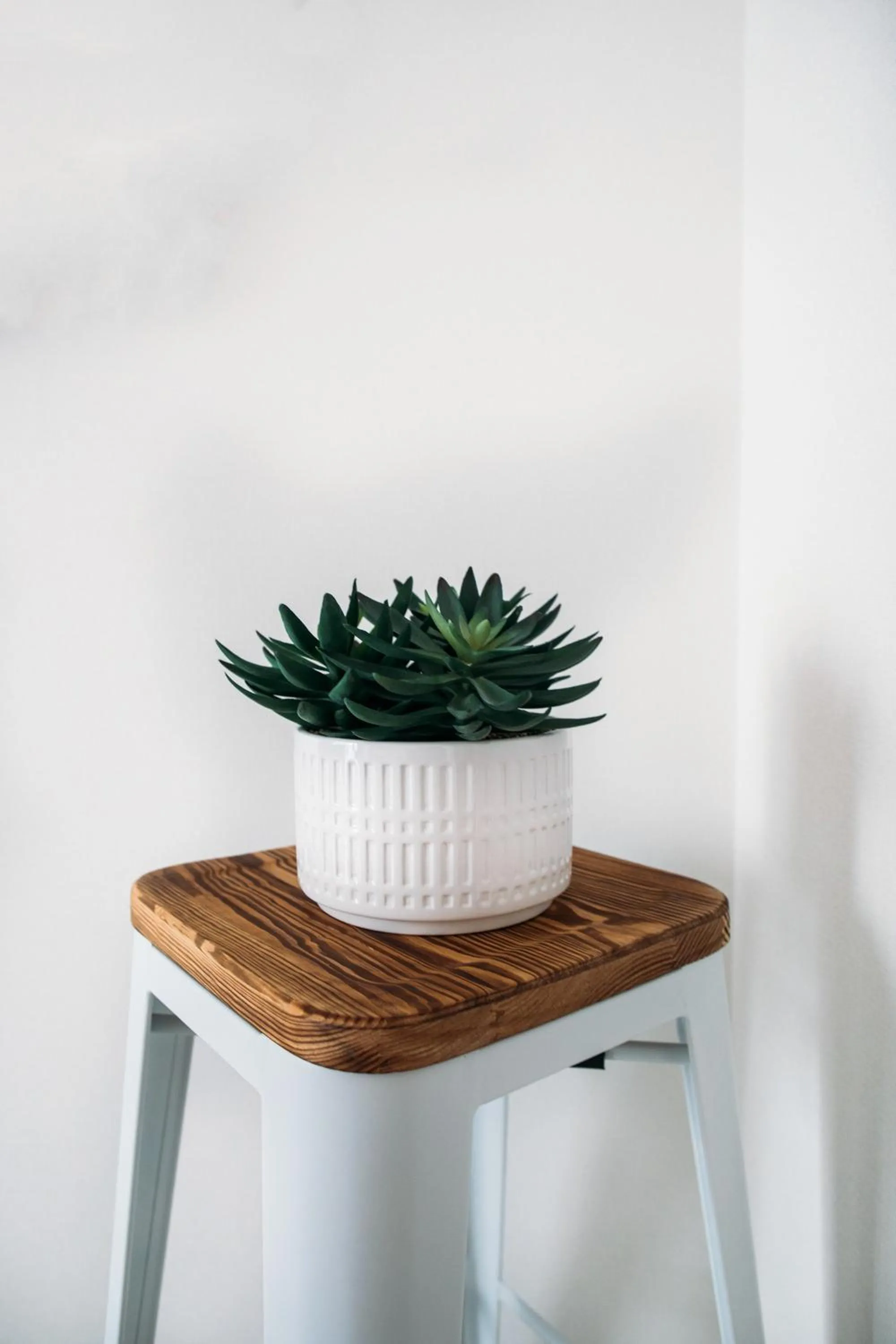 Decorative detail in Dash Living Nihonbashi