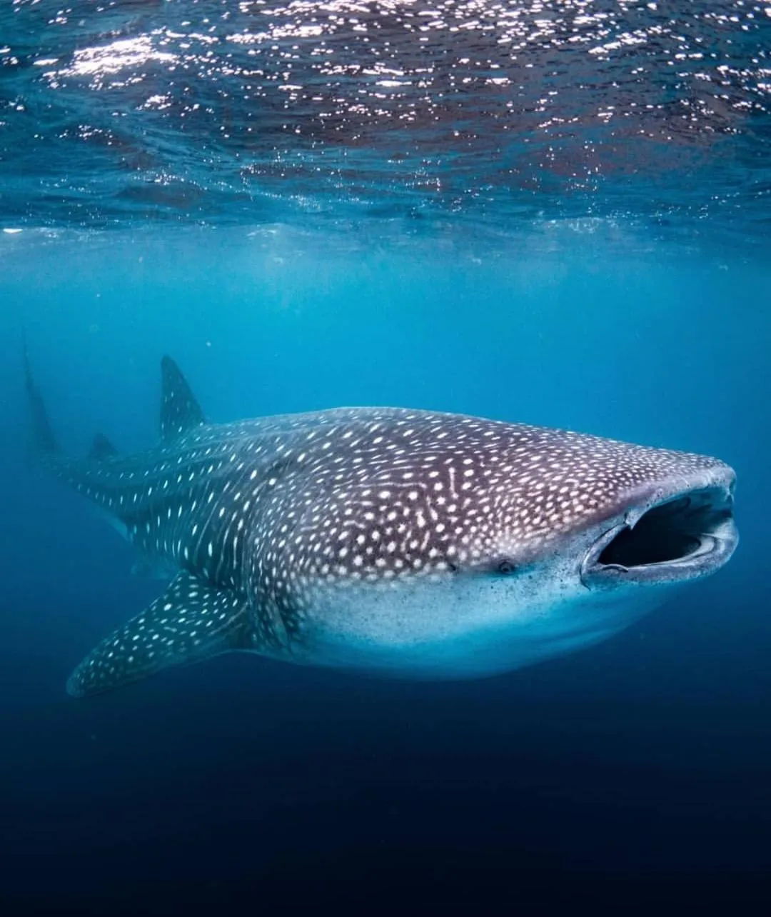 Off site in Loboc Cool River Resort