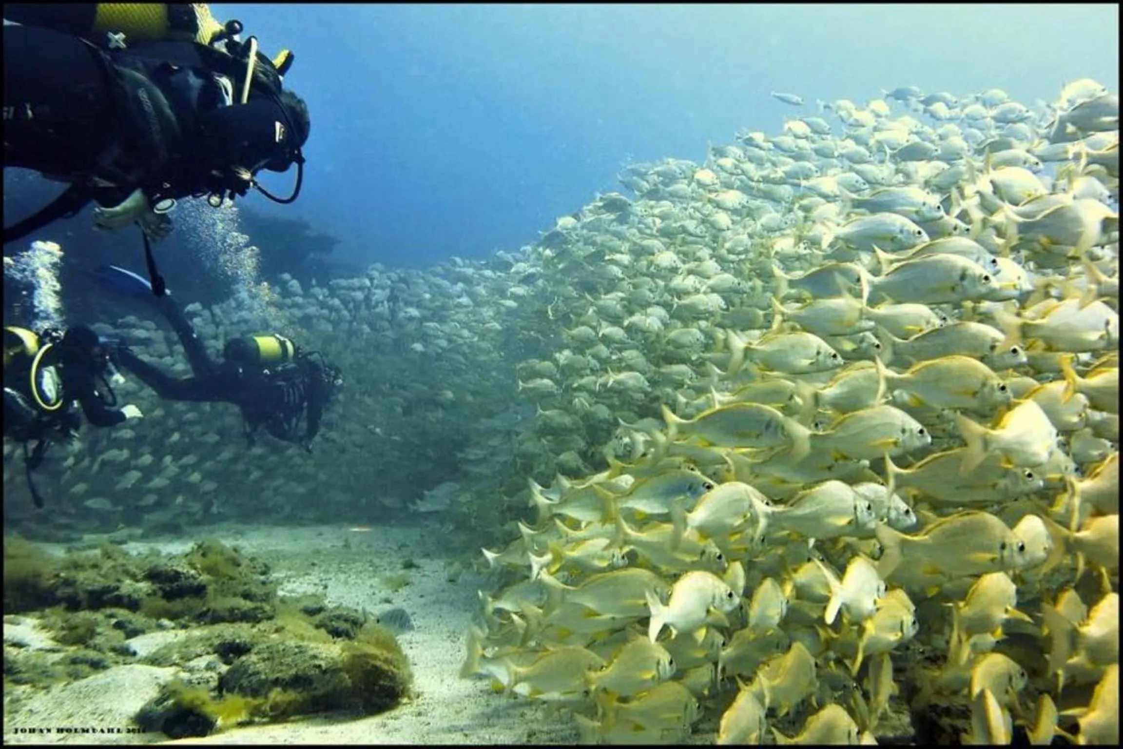 Fishing in Captains House Playa De Mogan by El Sirocco