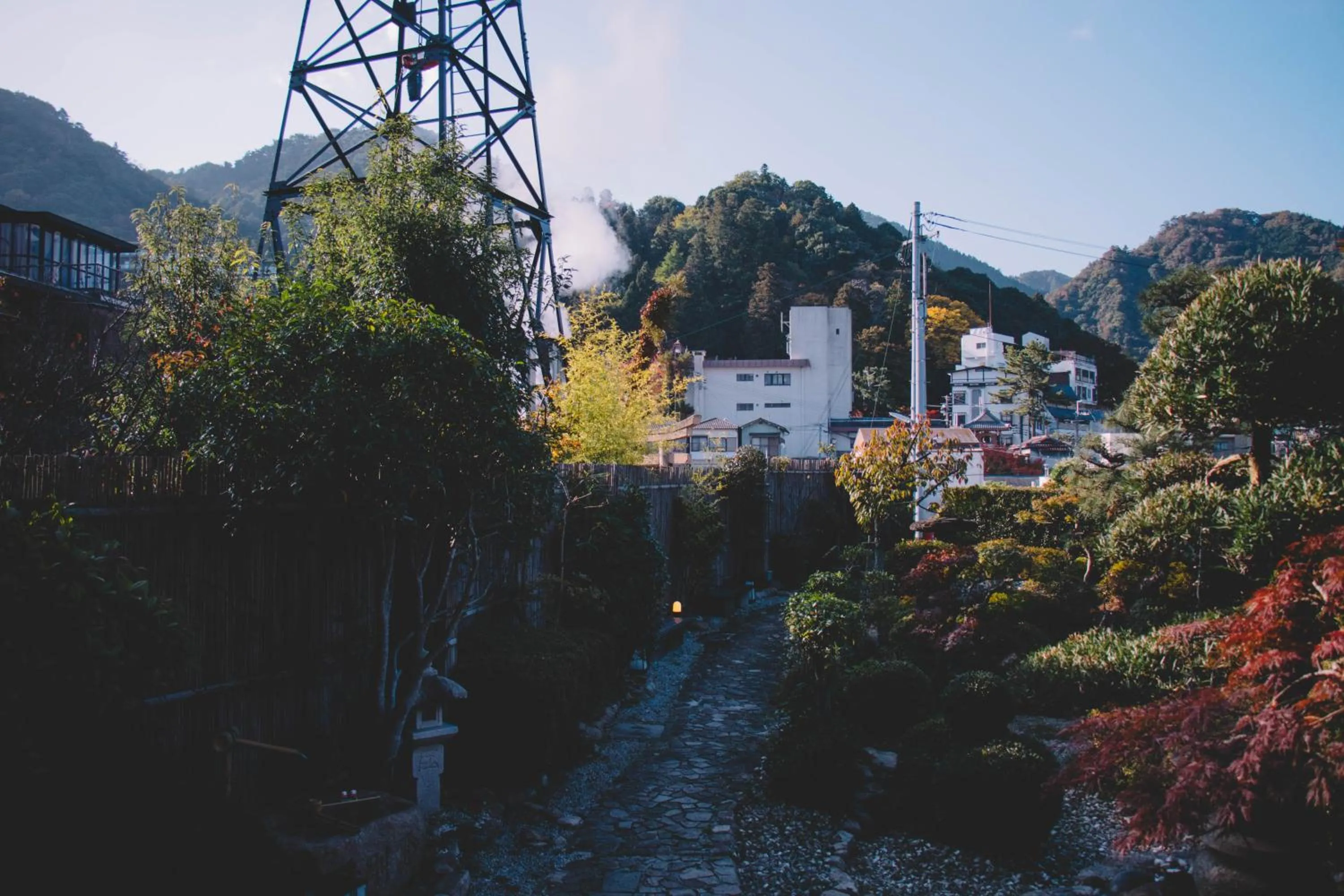 Garden in Waseido Zen