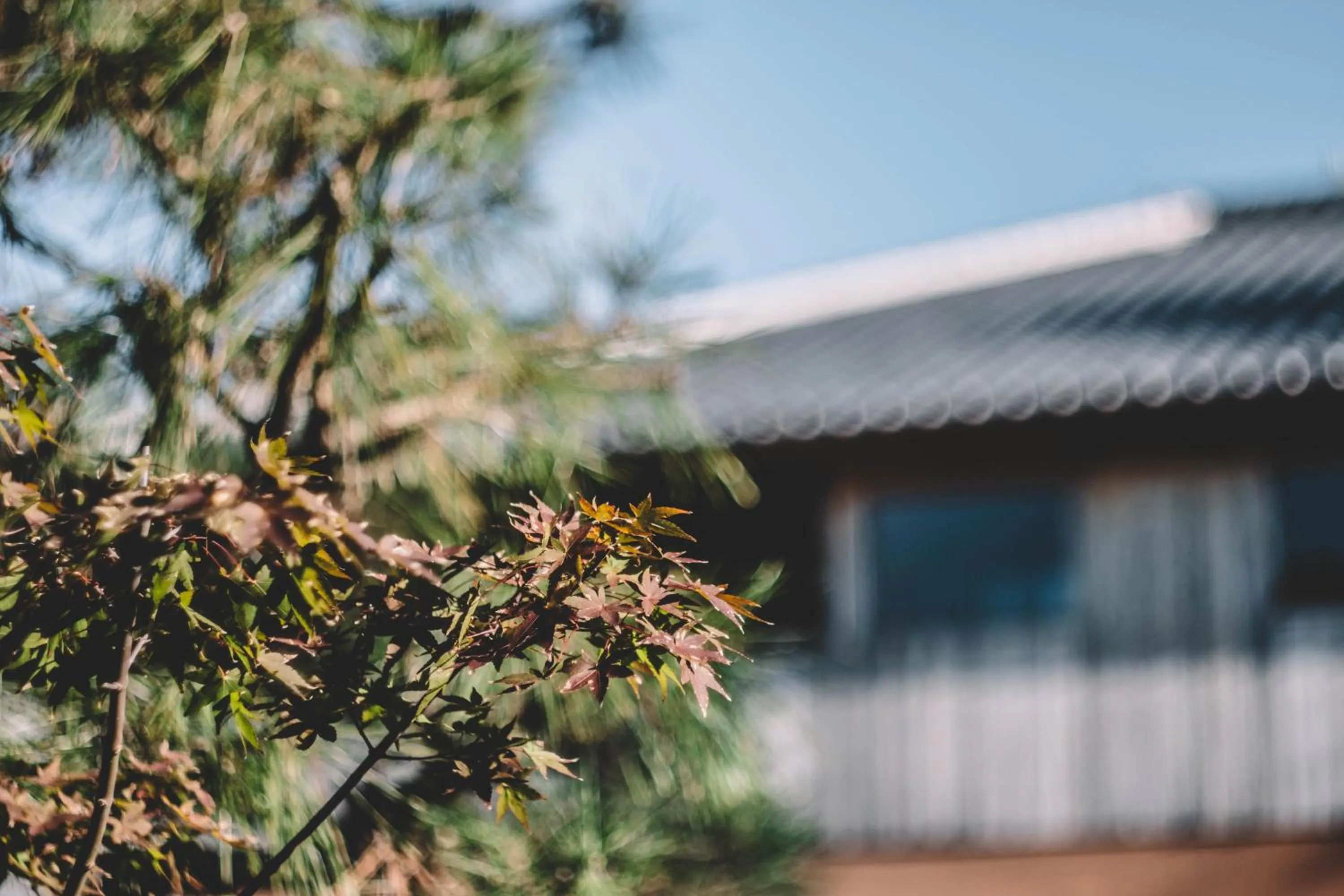Property building in Waseido Zen