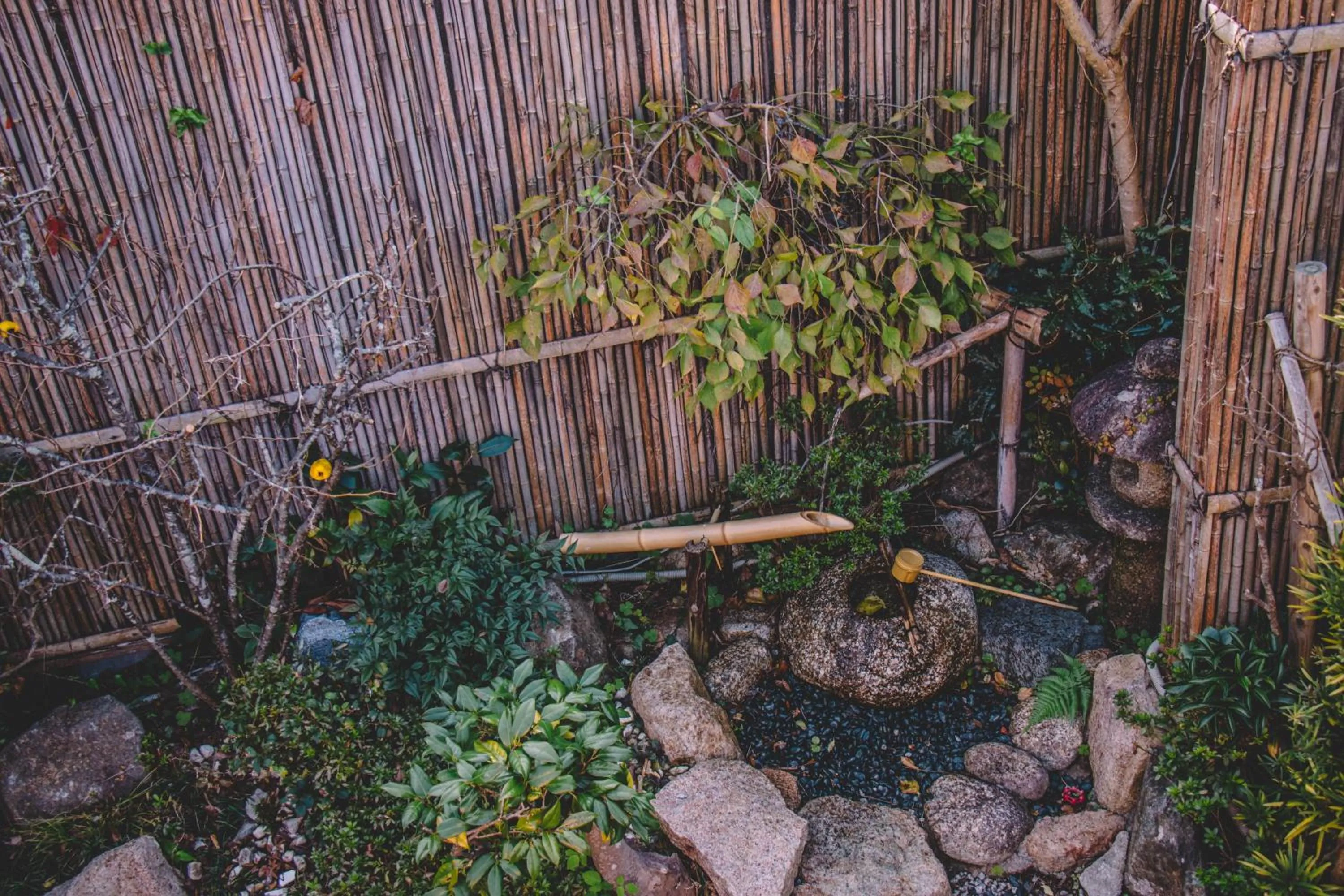 Garden in Waseido Zen
